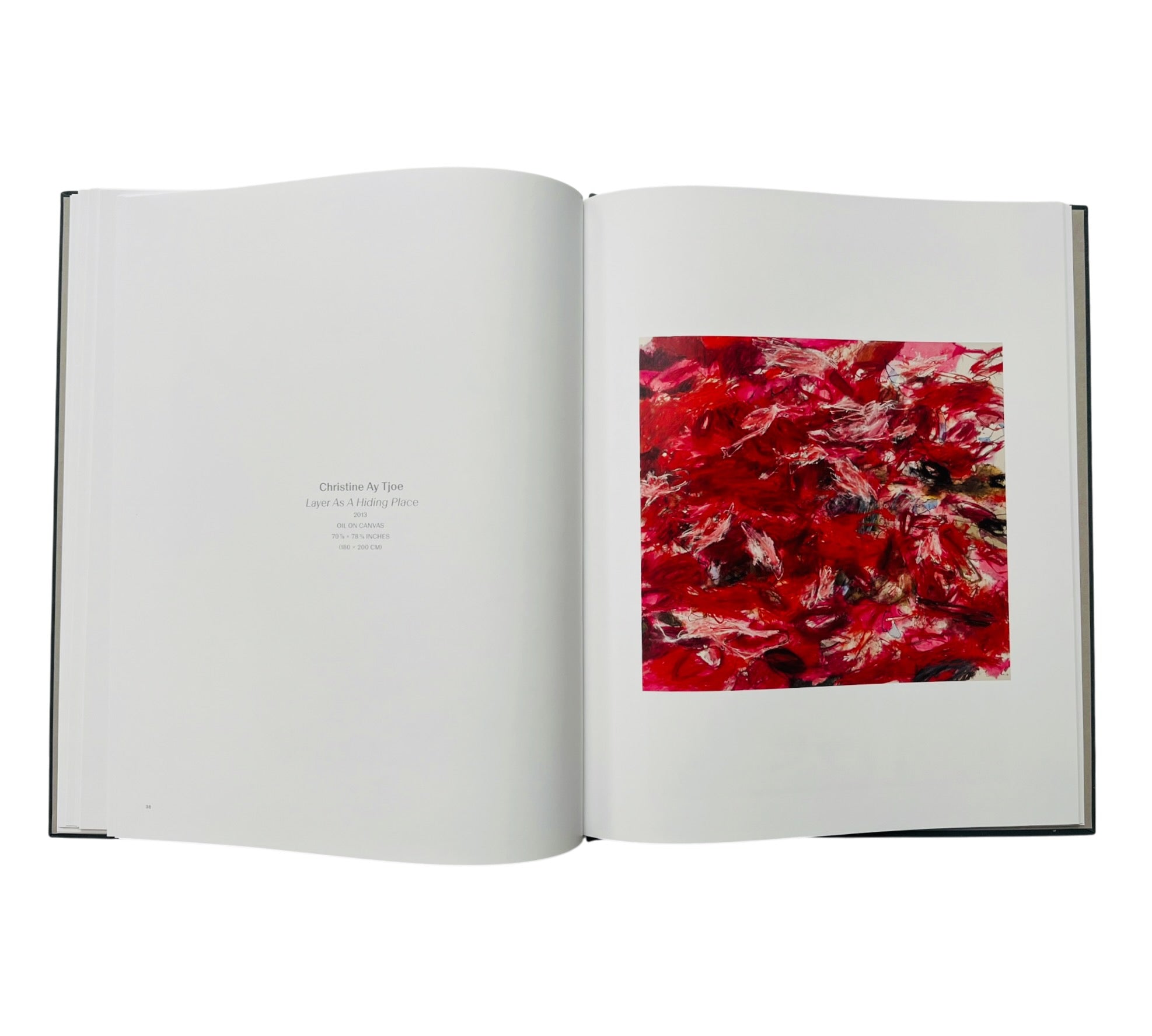 Joan Mitchell | Christine Ay Tjoe (Rare edition)