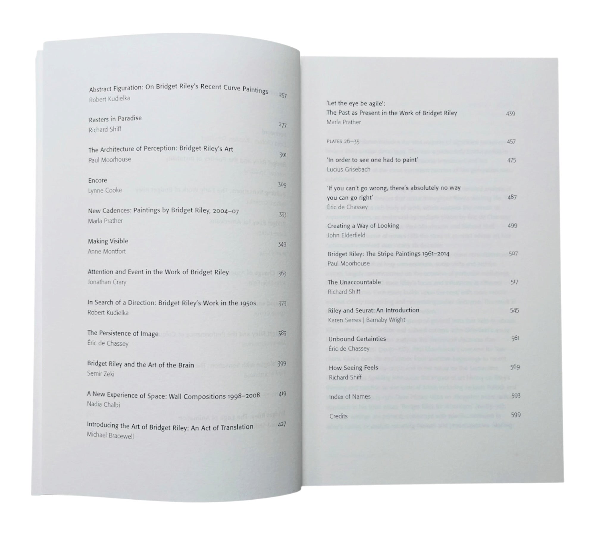About Bridget Riley: Selected Writings 1999-2016