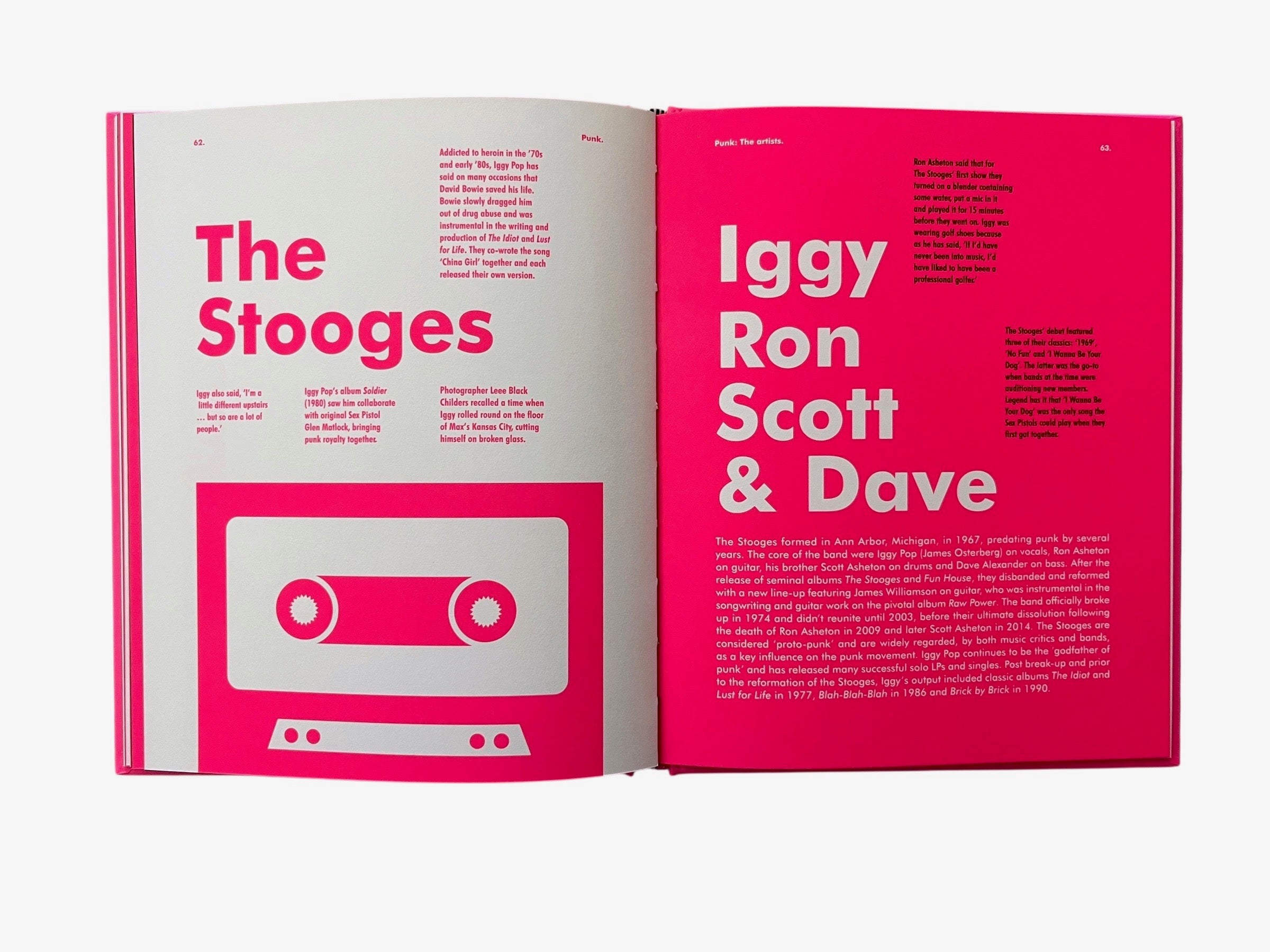 A Field Guide to Punk