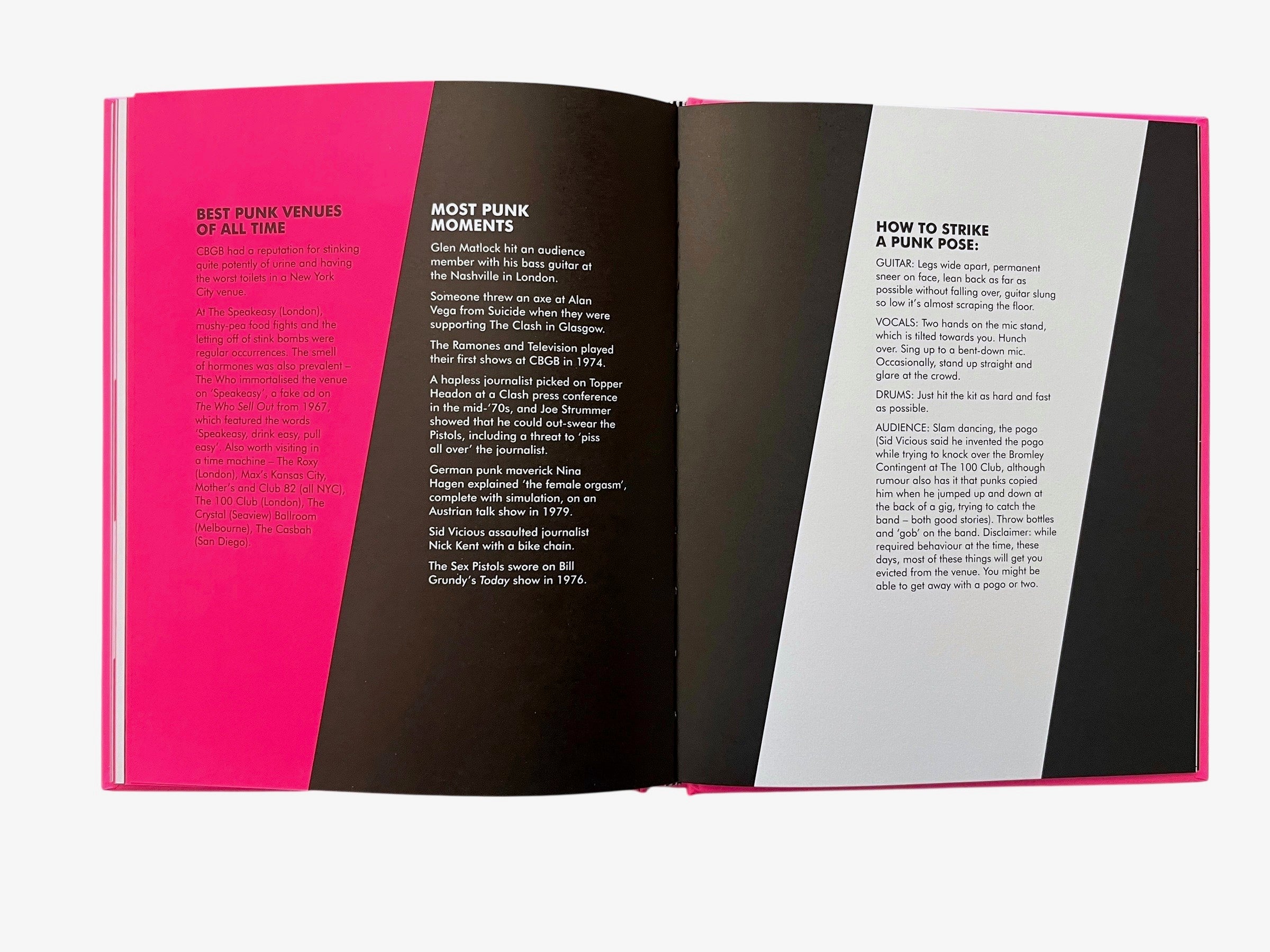 A Field Guide to Punk
