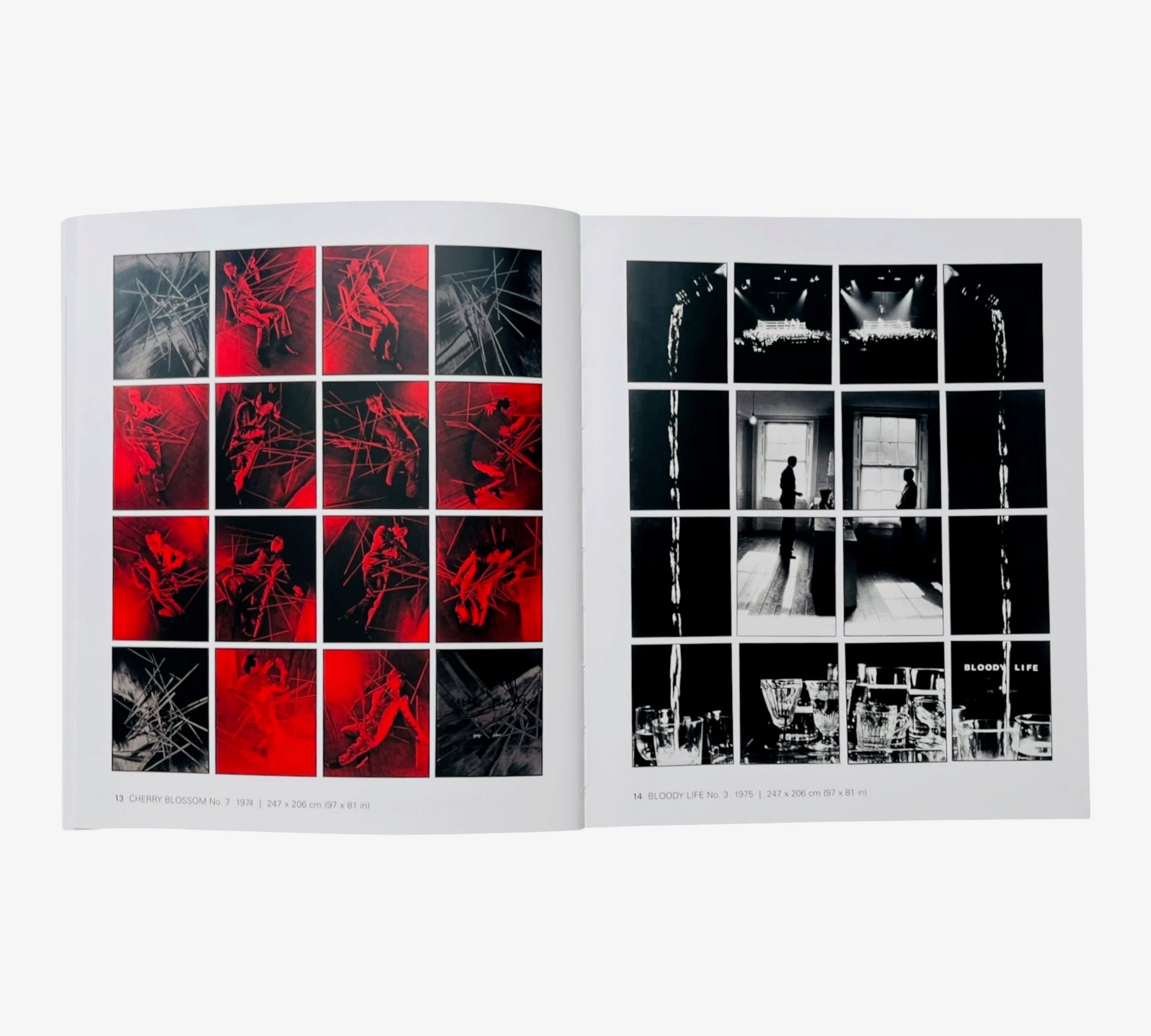 Introducing Gilbert & George (Rare edition)