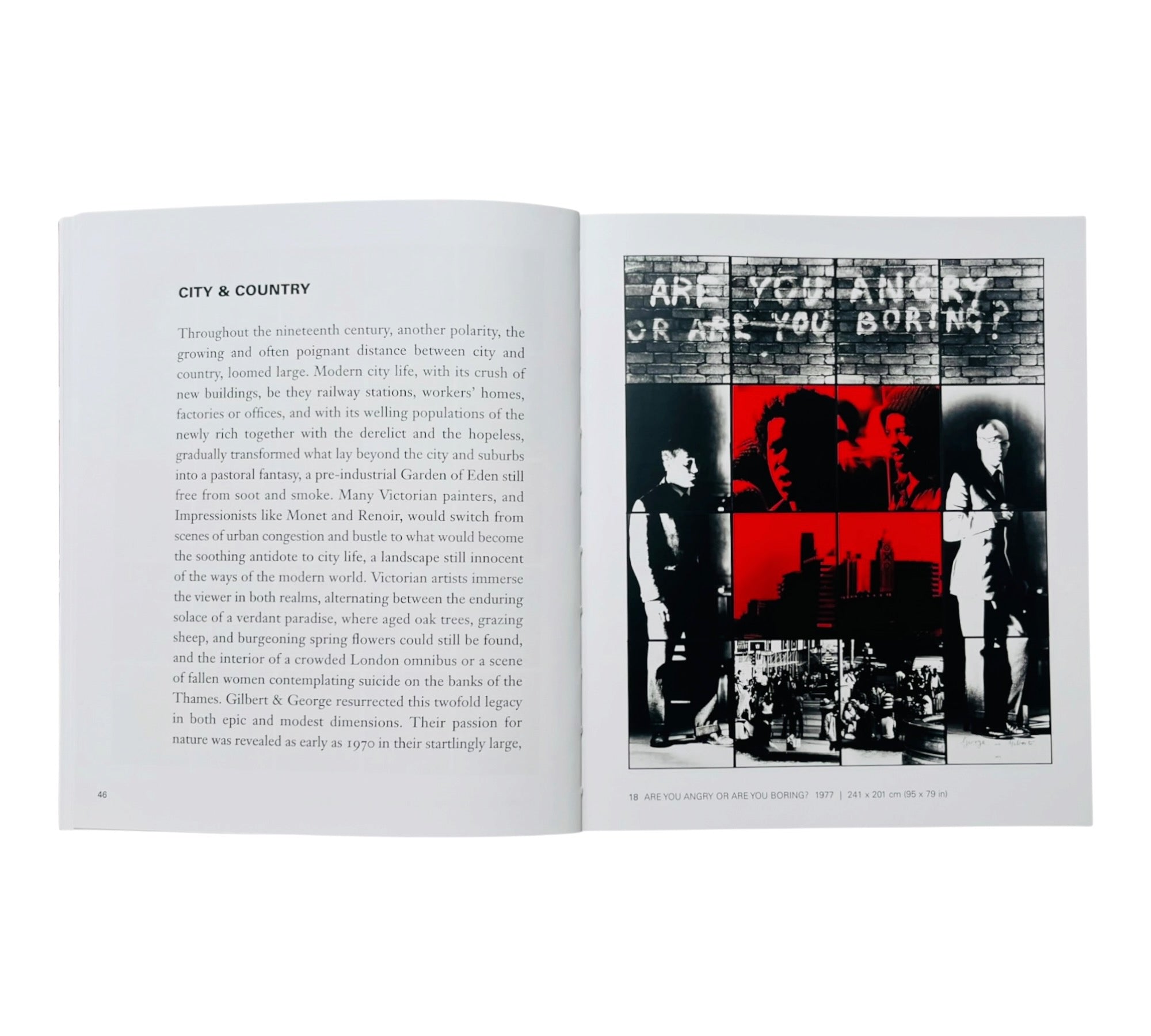 Introducing Gilbert & George (Rare edition)