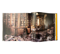 Beauty in Decay II