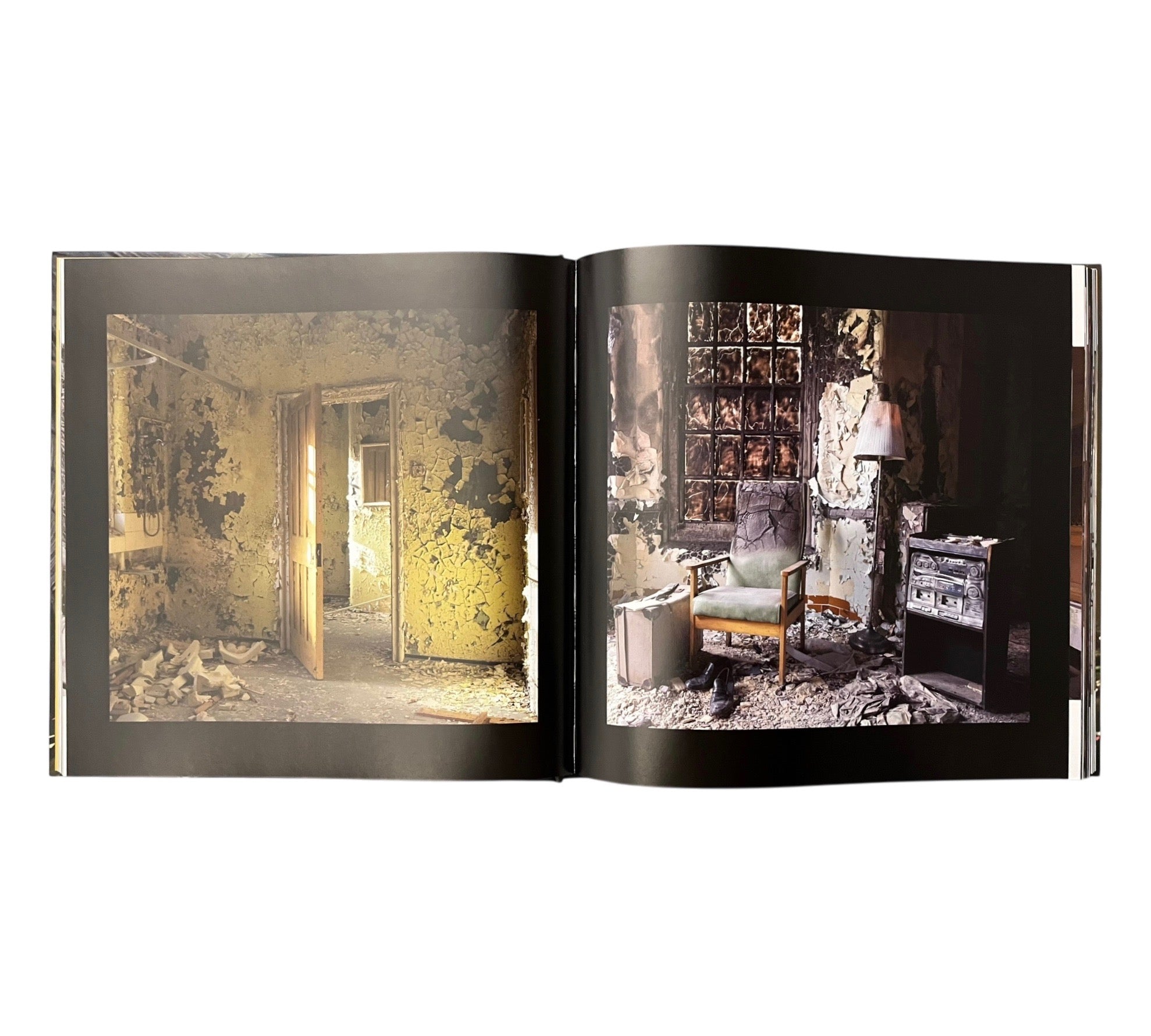 Beauty in Decay II