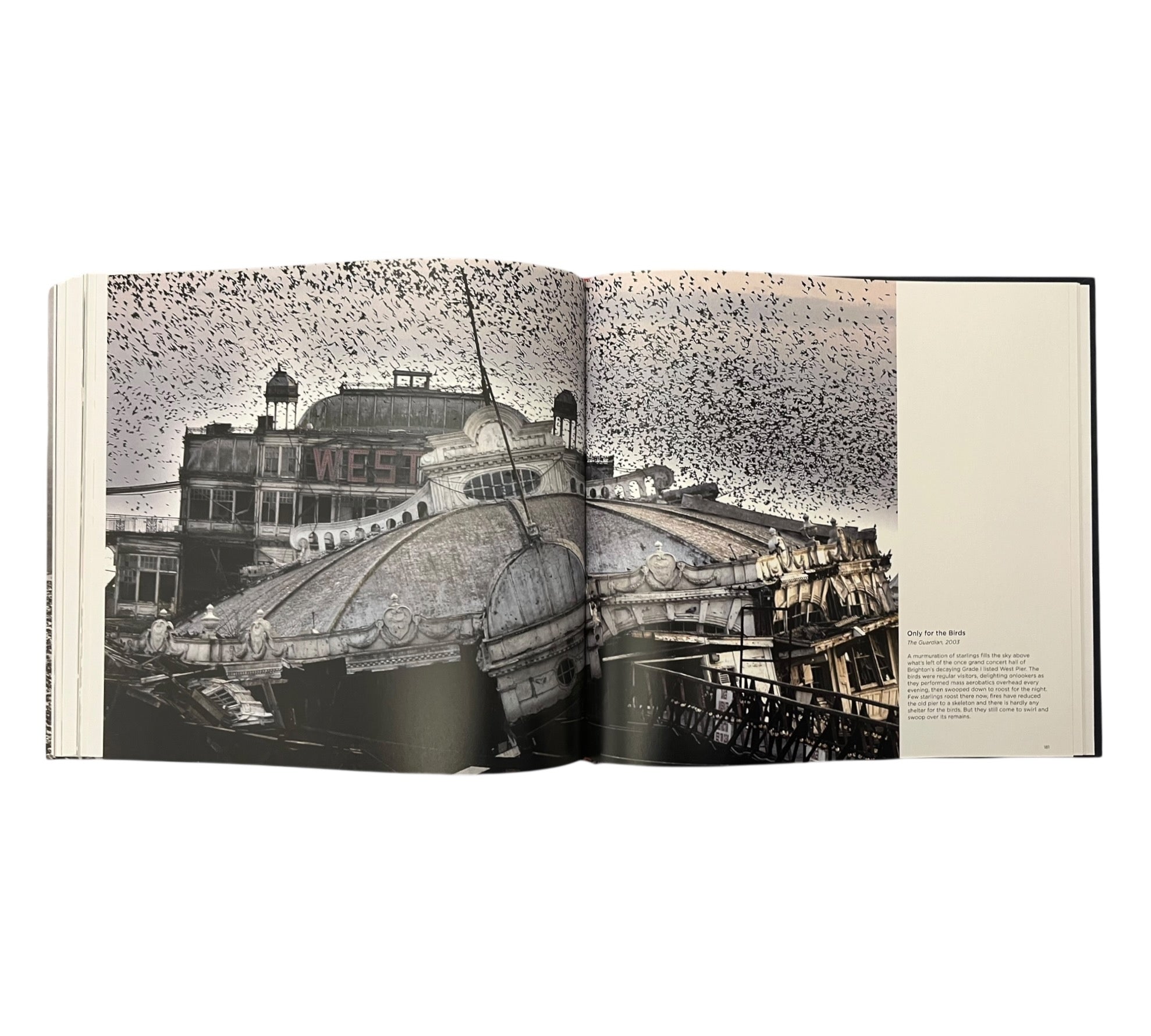 Roger Bamber: Out of the Ordinary