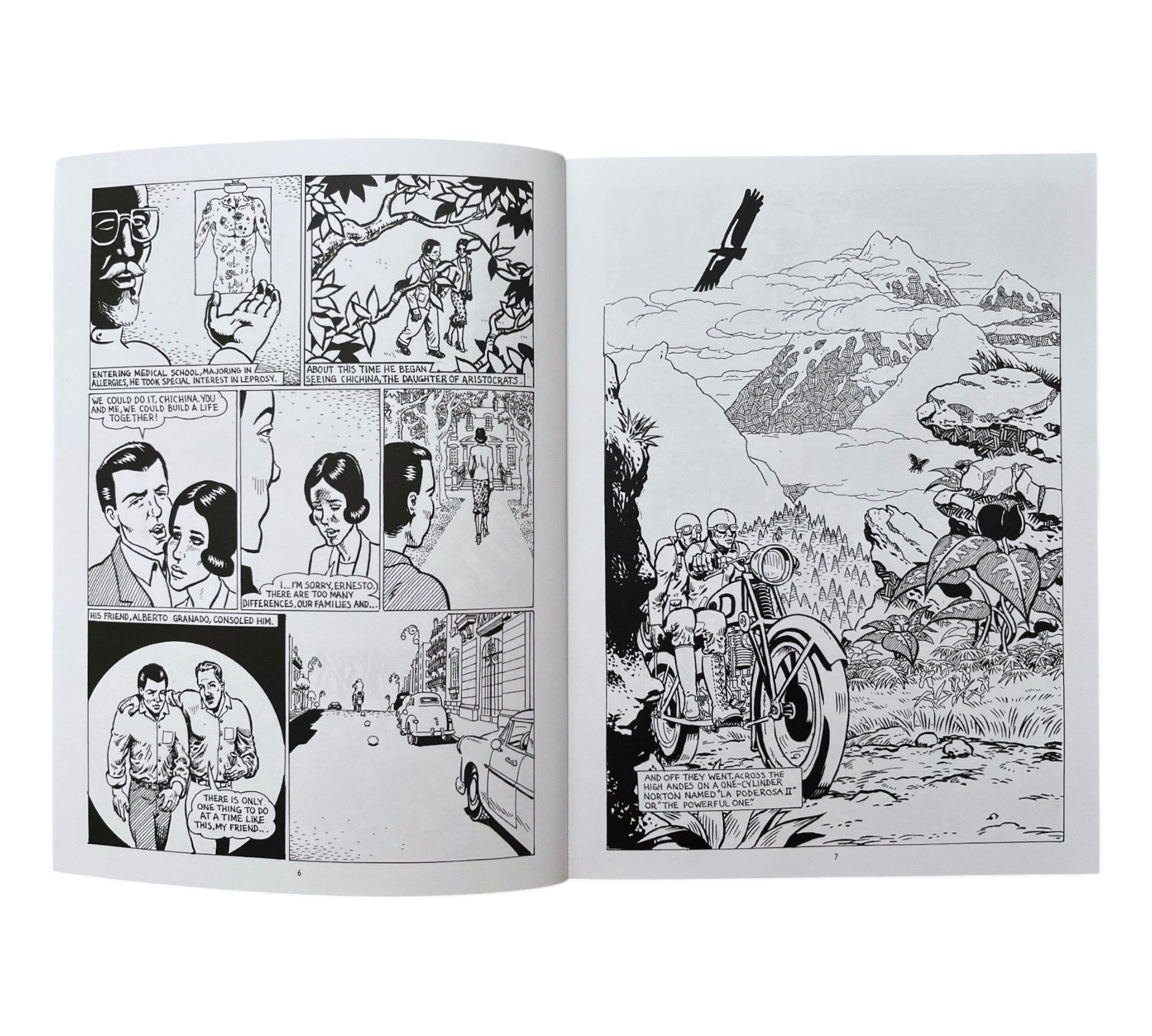 Che: A Graphic Biography