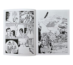Che: A Graphic Biography