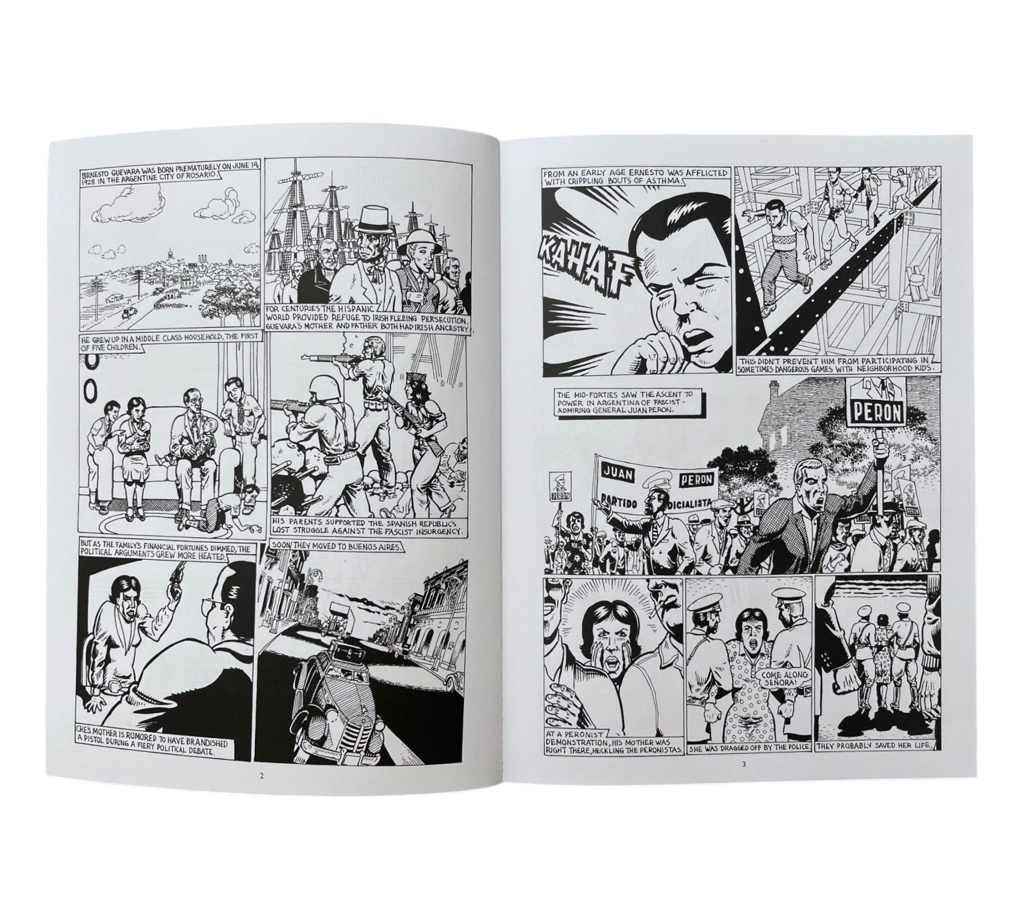 Che: A Graphic Biography