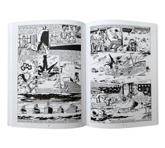Che: A Graphic Biography
