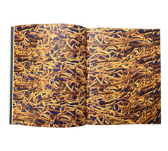 Relief: Issue 2 - Drift