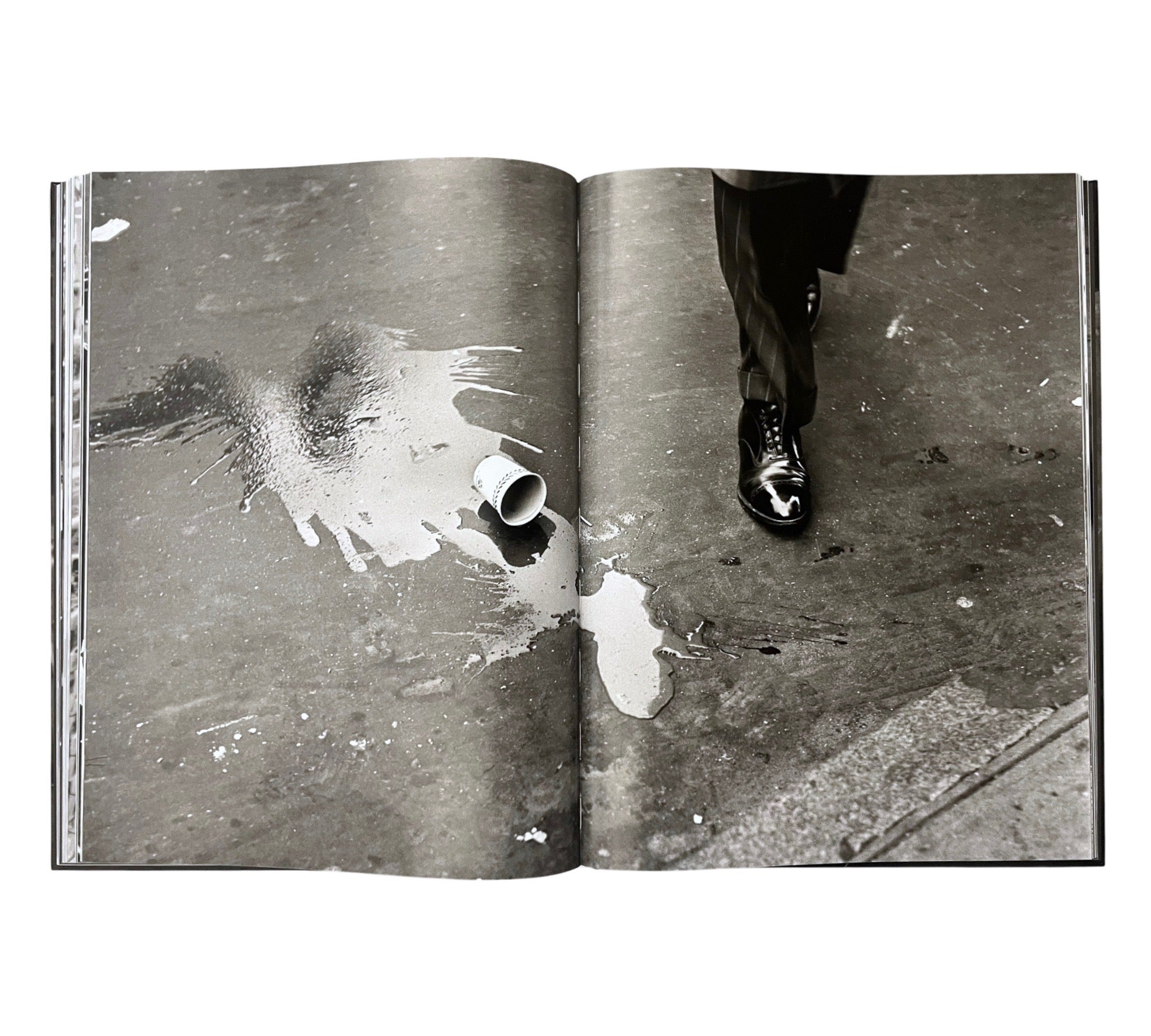 Elliott Erwitt’s New York (Revised Edition)