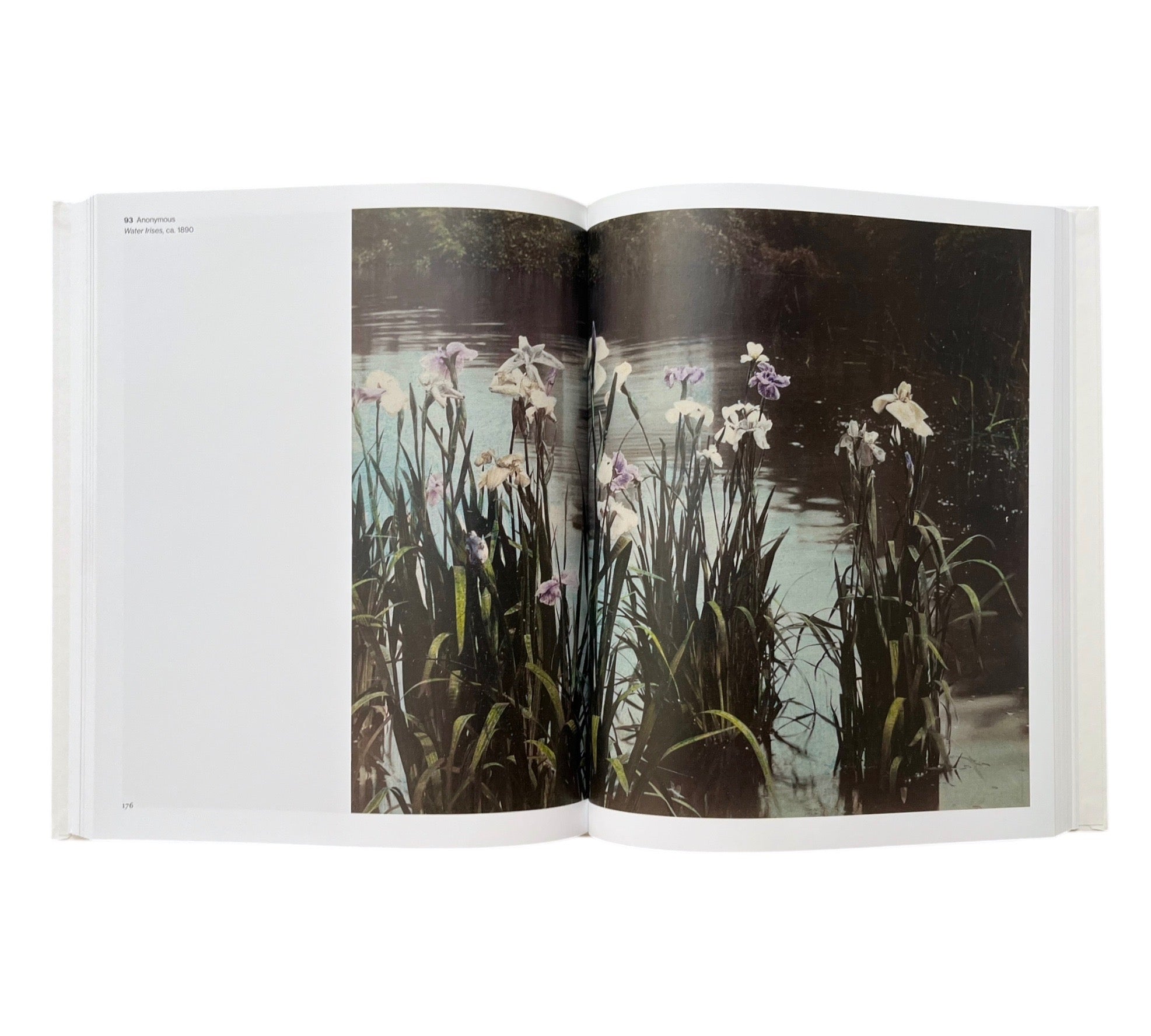 A New Art: Photography and Impressionism