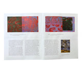 David Reed: Heart of Glass - Paintings and Drawings 1967-2012