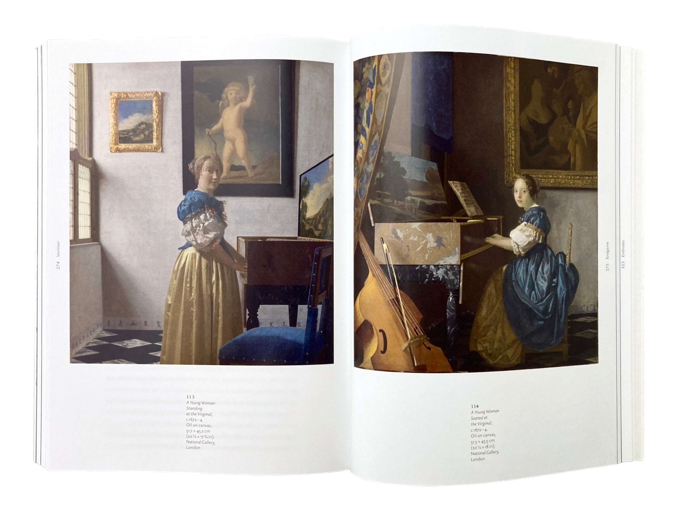 Vermeer (Art & Ideas)