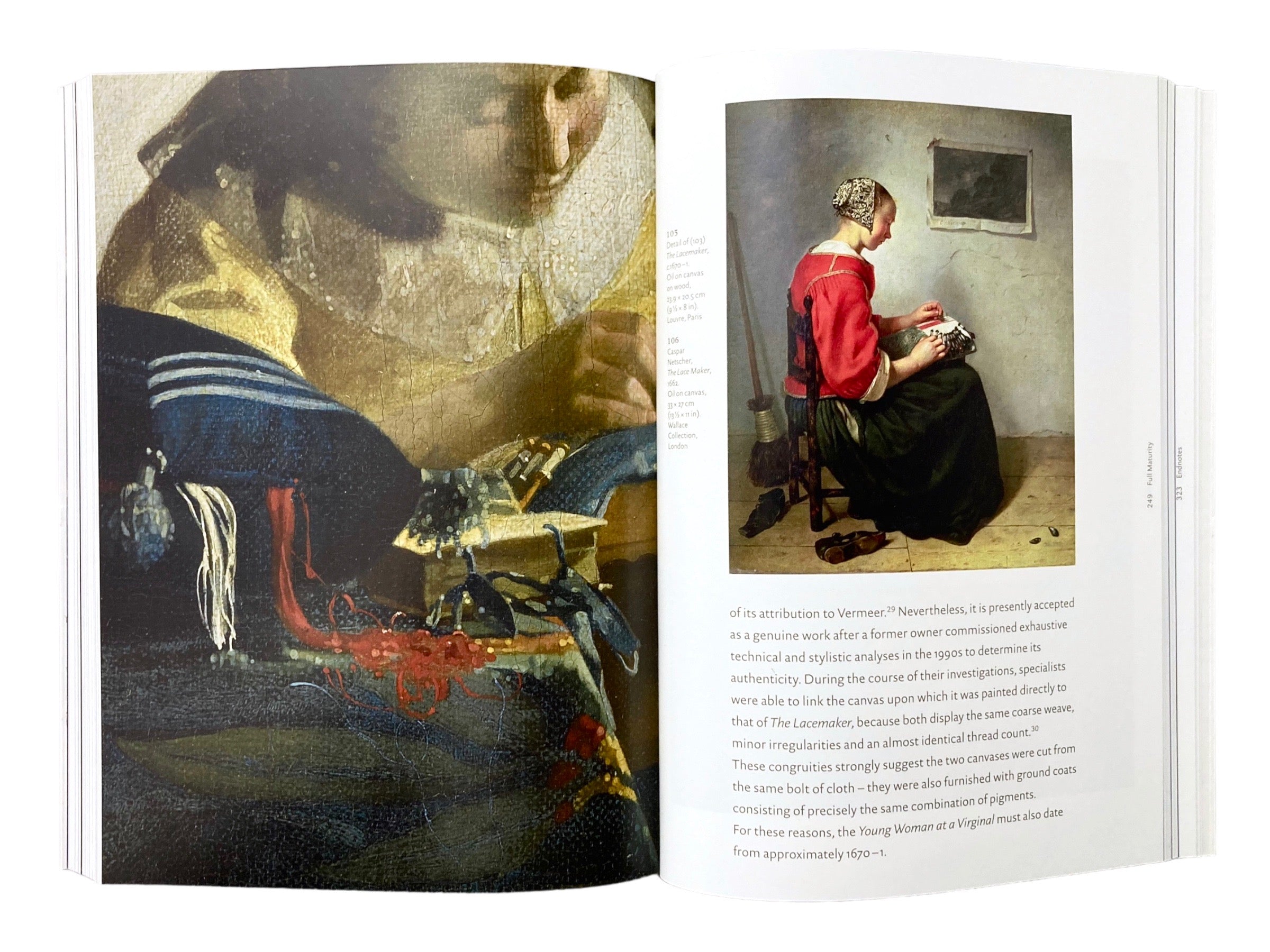 Vermeer (Art & Ideas)