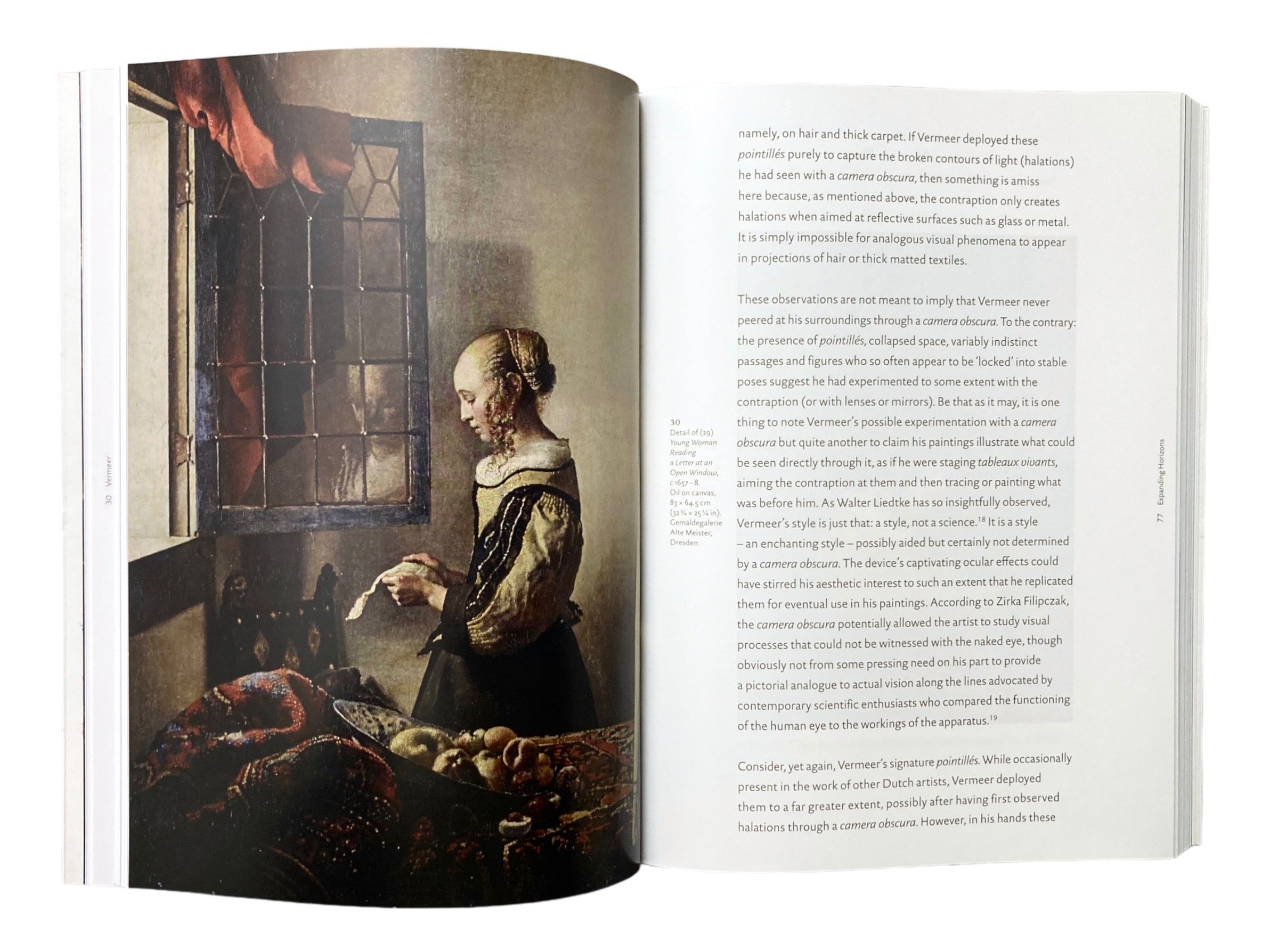 Vermeer (Art & Ideas)