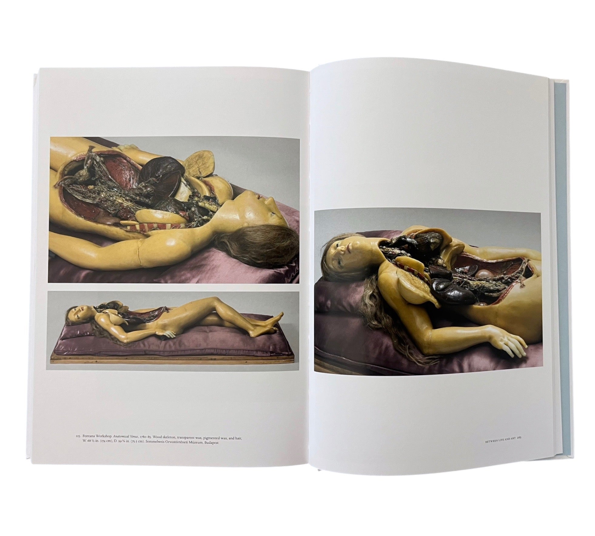 Like Life: Sculpture, Color, and the Body