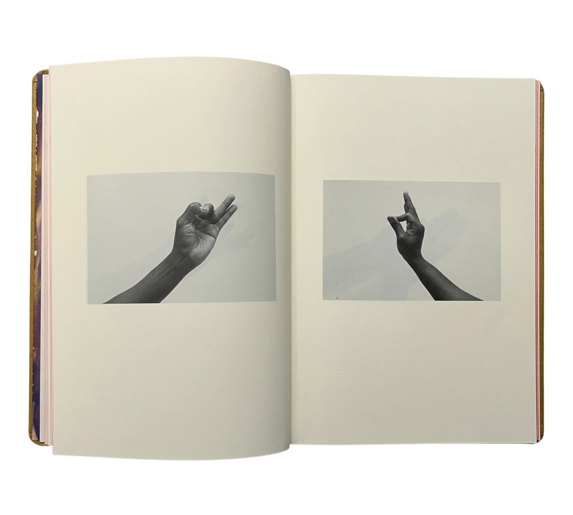 Ian Whittlesea: The Egyptian Postures