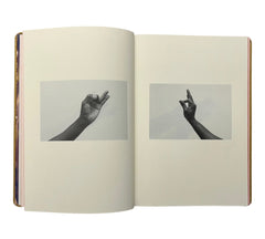 Ian Whittlesea: The Egyptian Postures