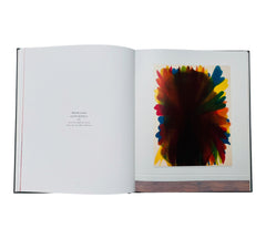 The Joy of Color (Rare edition)