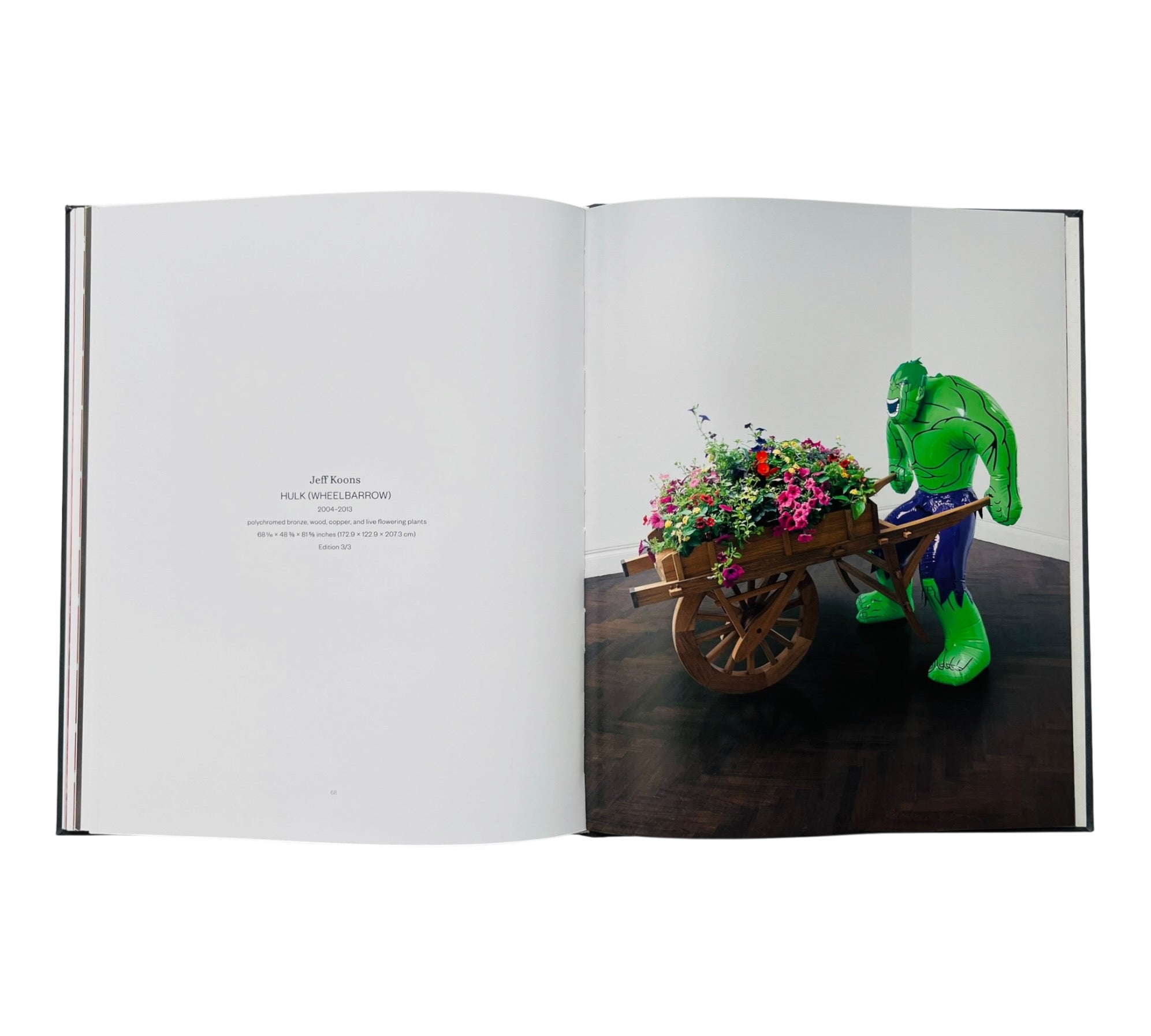 The Joy of Color (Rare edition)