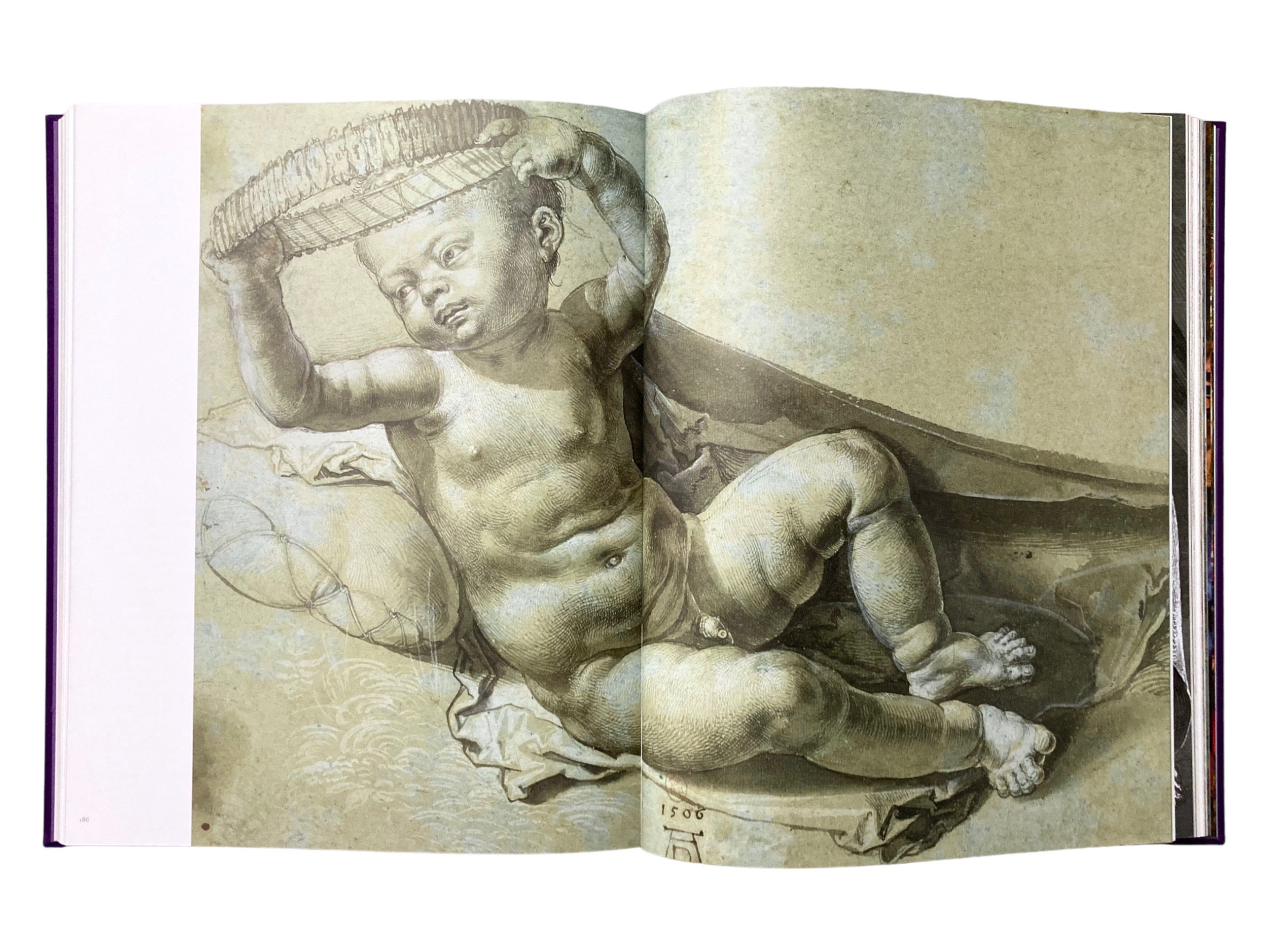 Dürer in Detail