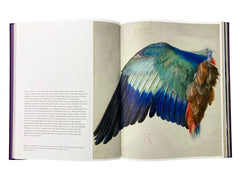 Dürer in Detail