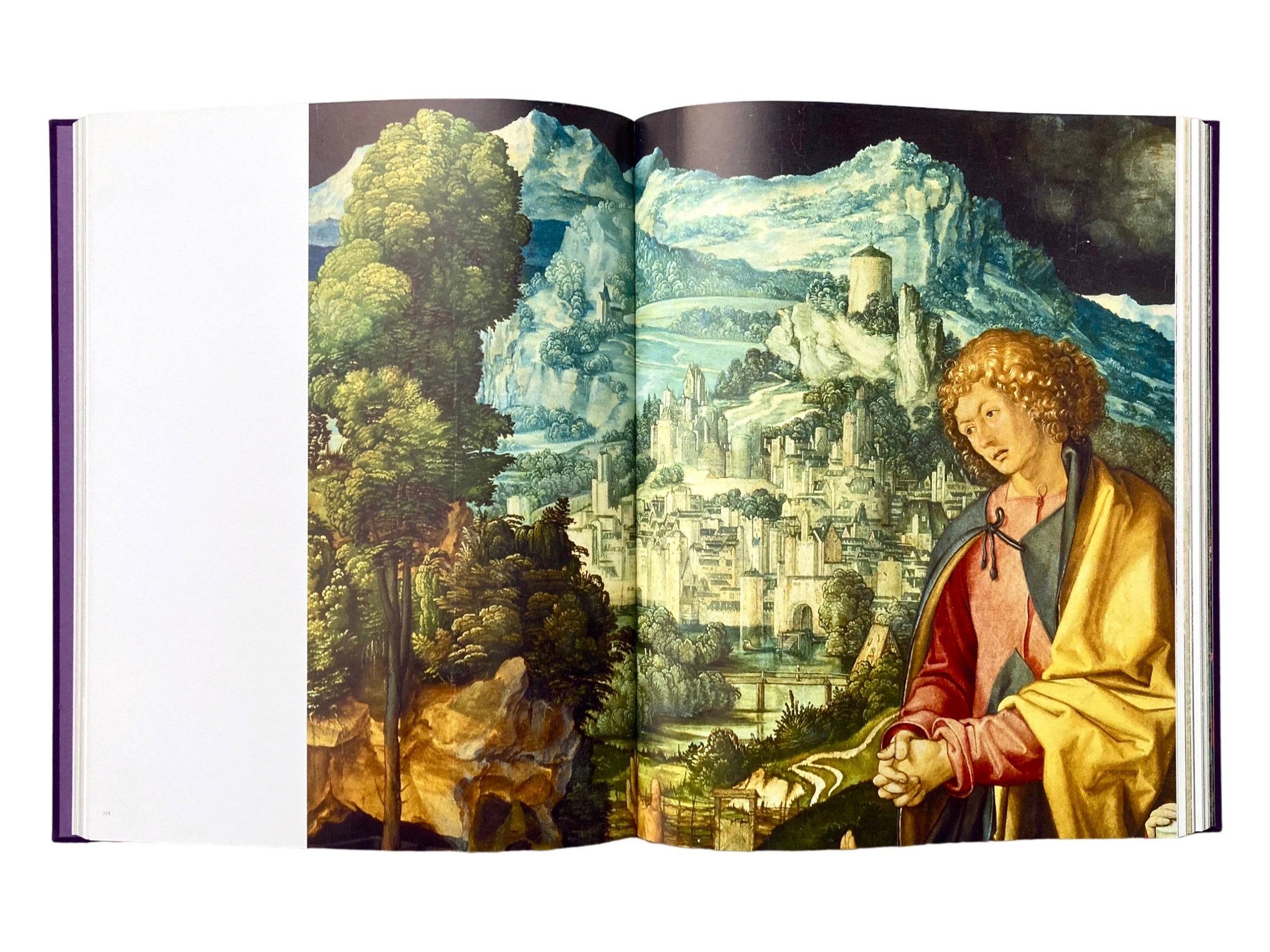 Dürer in Detail