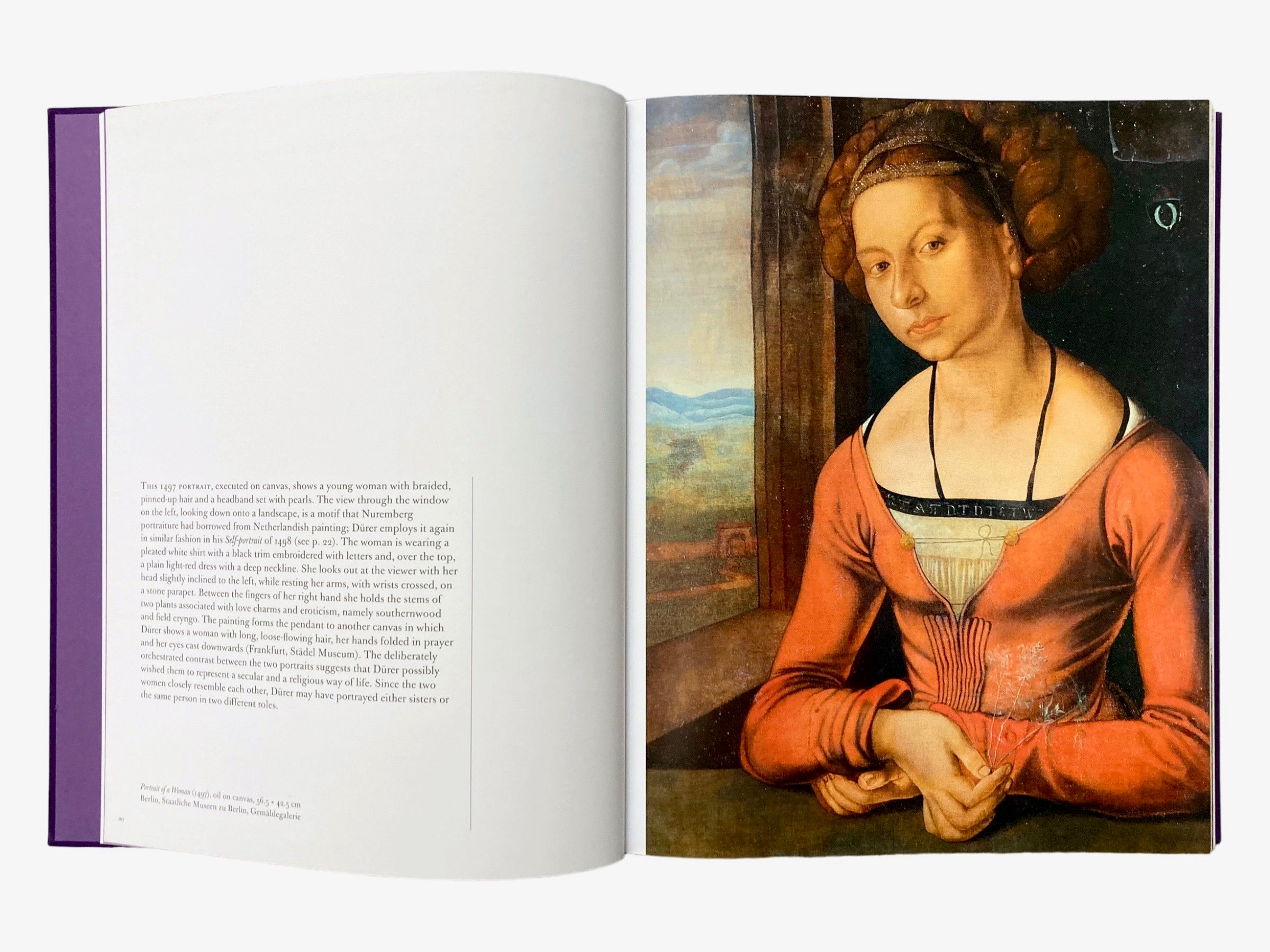 Dürer in Detail