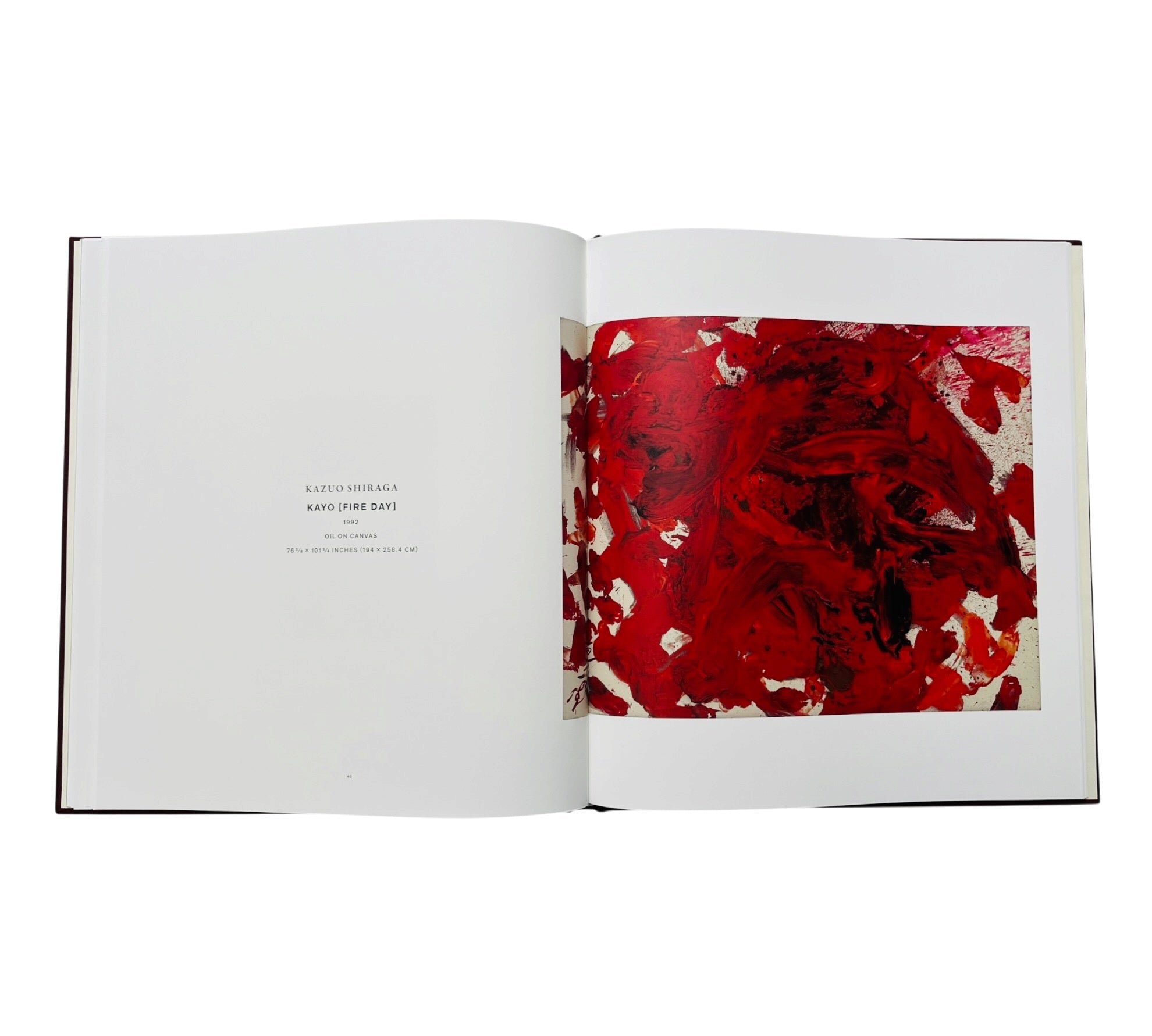 De Kooning | Shiraga (Rare edition)