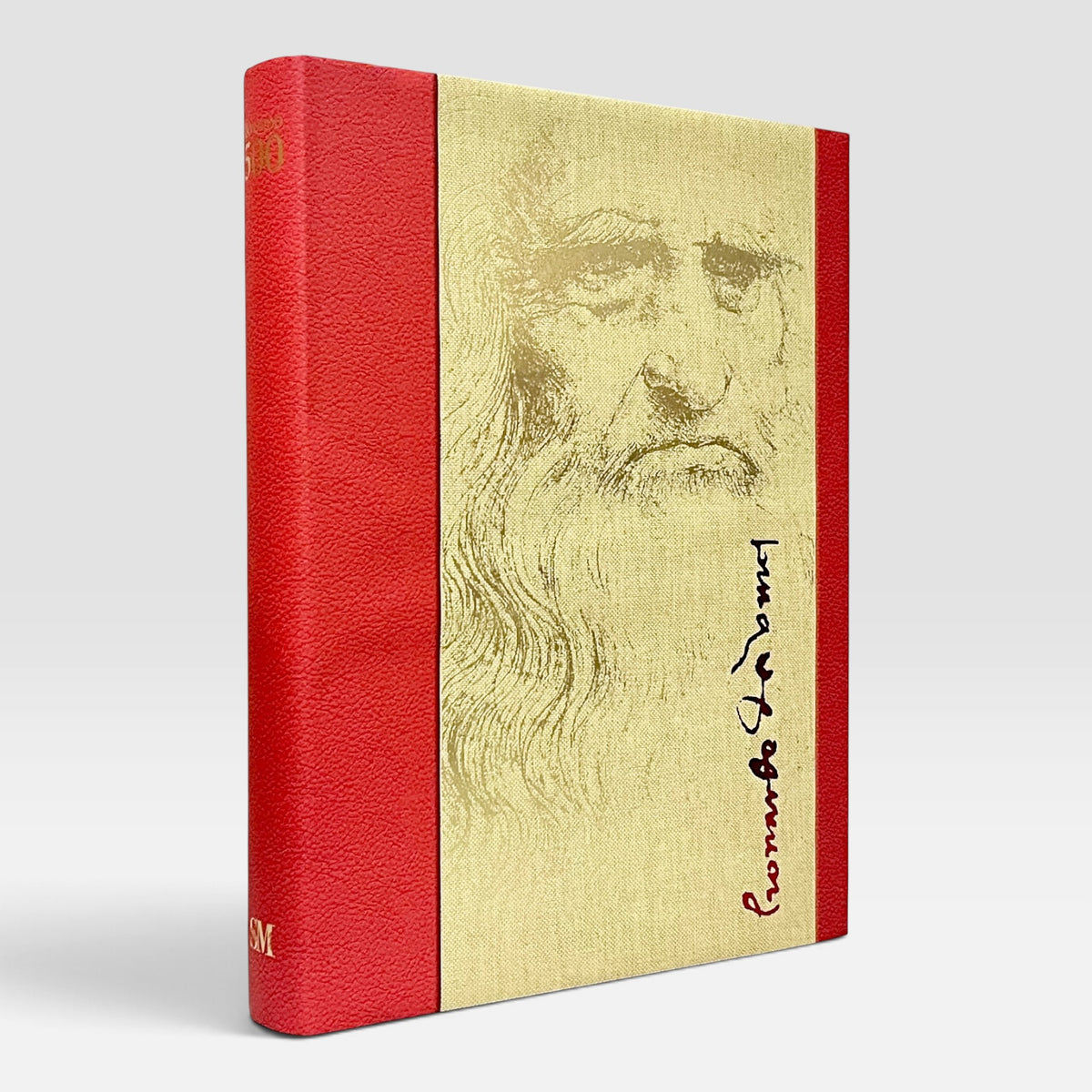 Leonardo 500