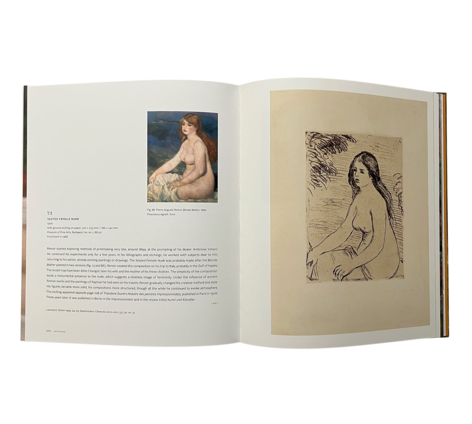 Renoir: The Painter and his Models