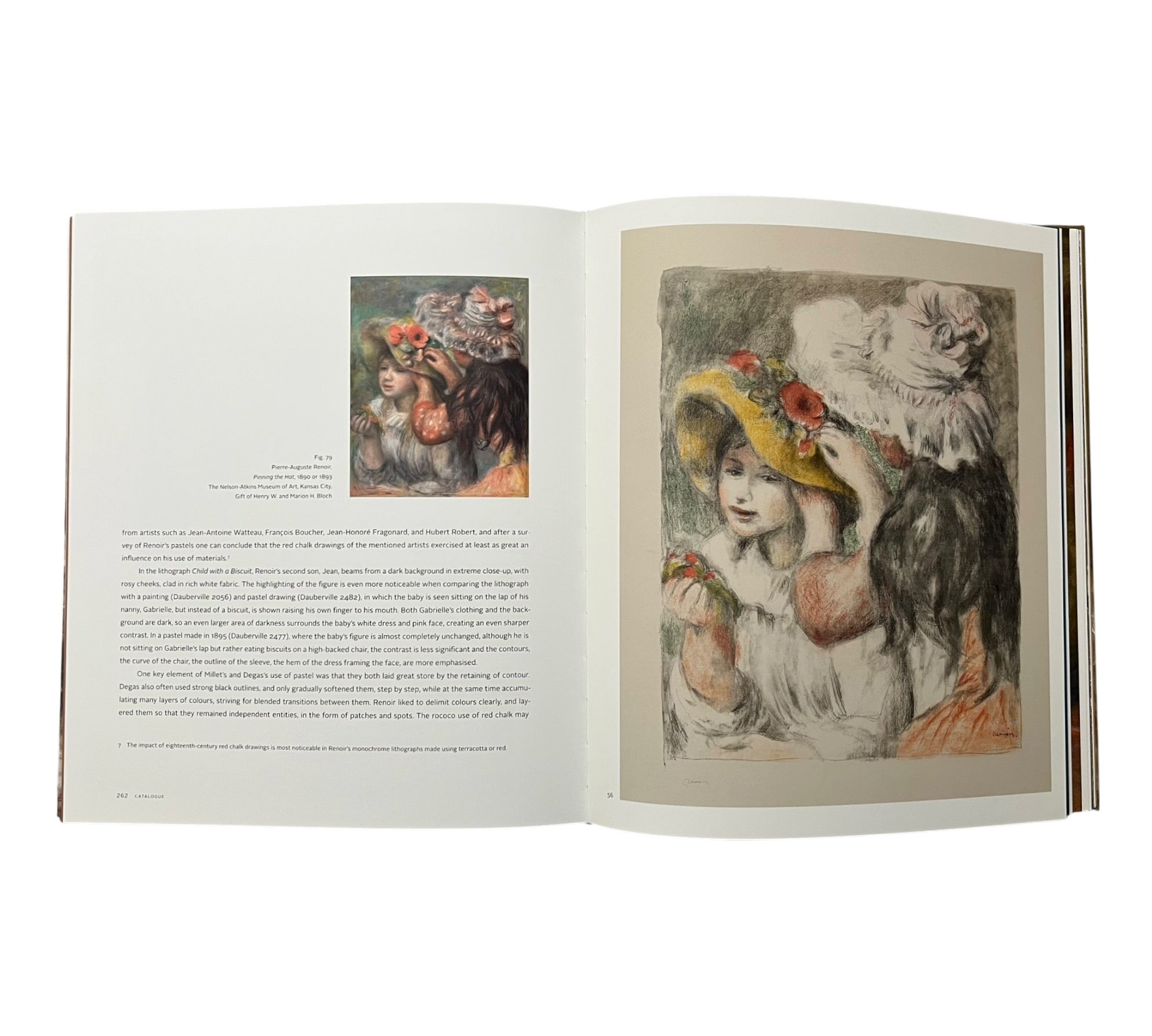 Renoir: The Painter and his Models