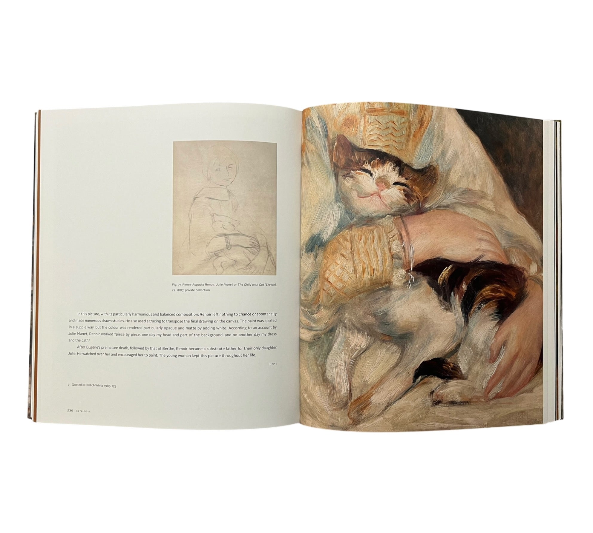 Renoir: The Painter and his Models