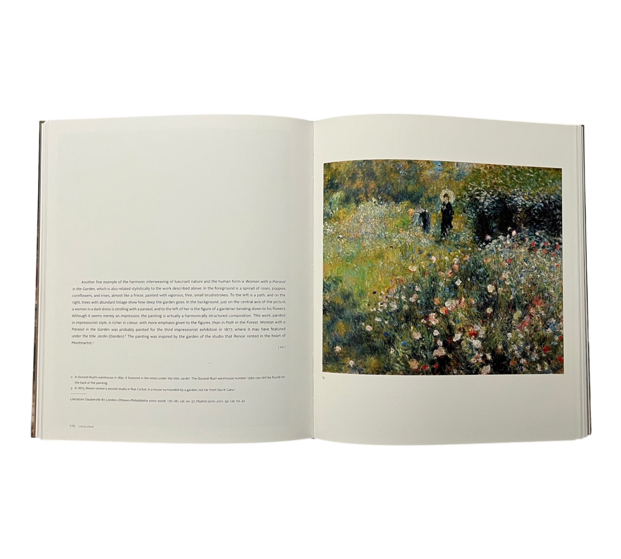 Renoir: The Painter and his Models