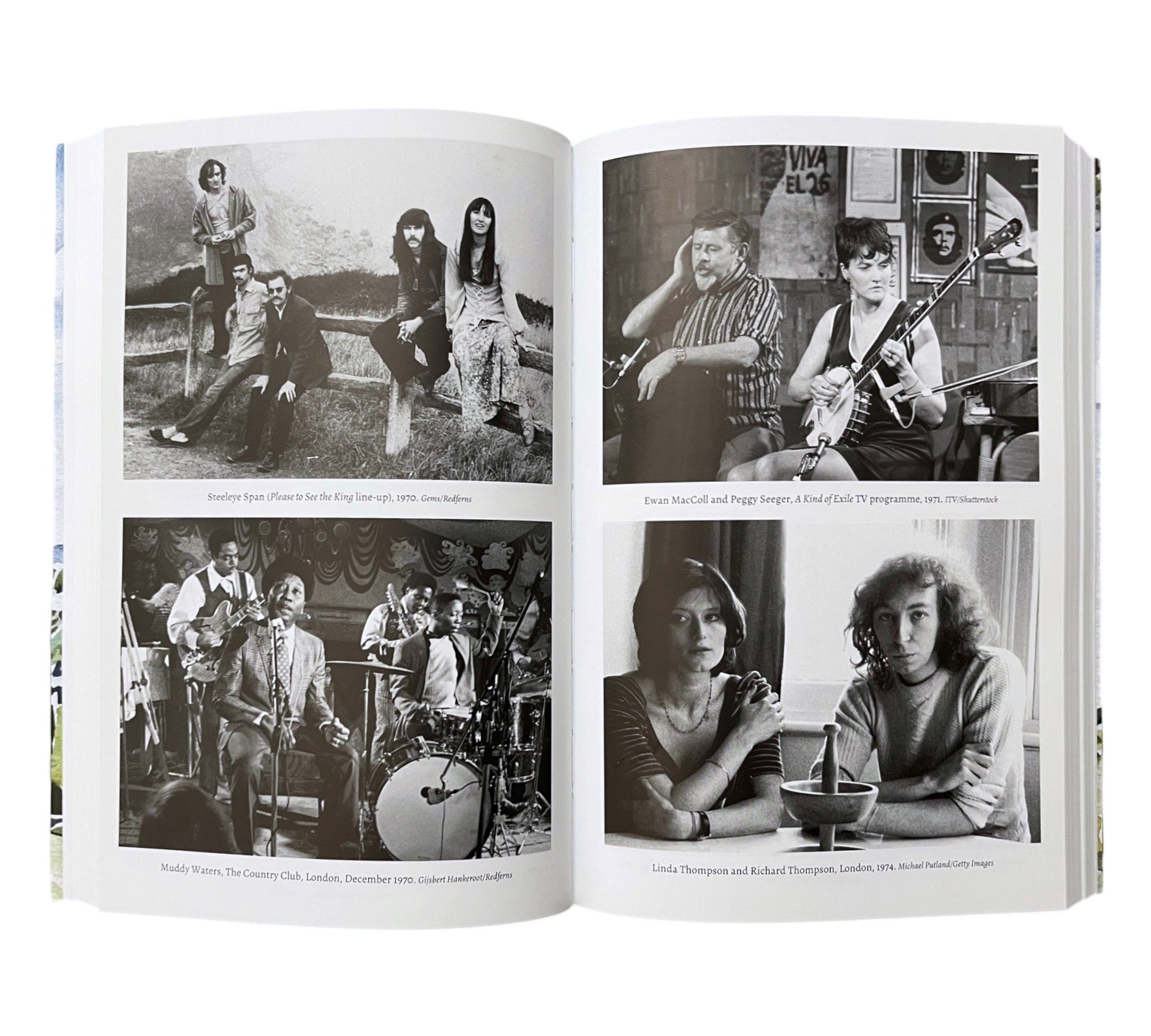 The Electric Muse Revisited: The Story of Folk into Rock and Beyond