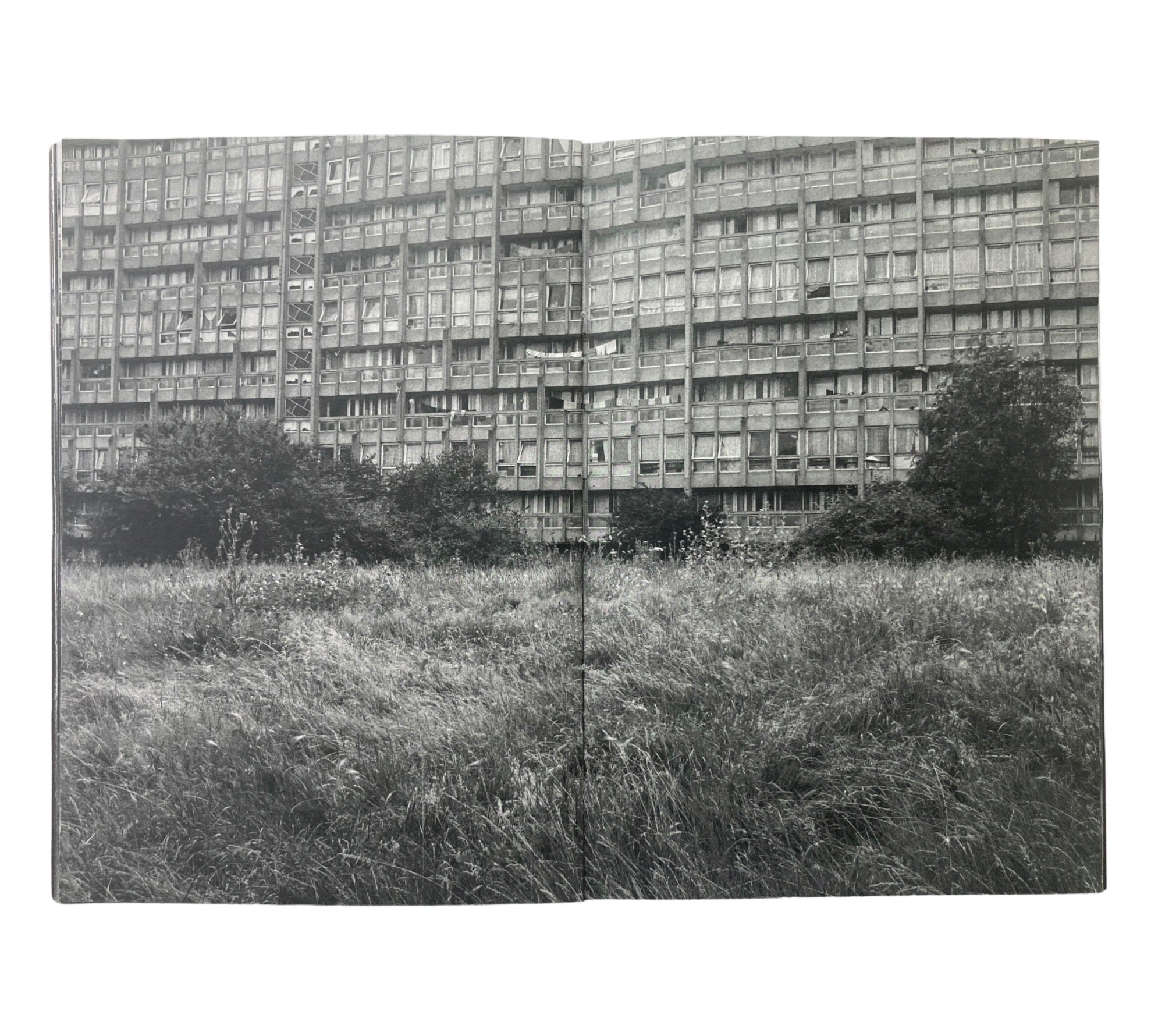 Craig Atkinson: Robin Hood Gardens