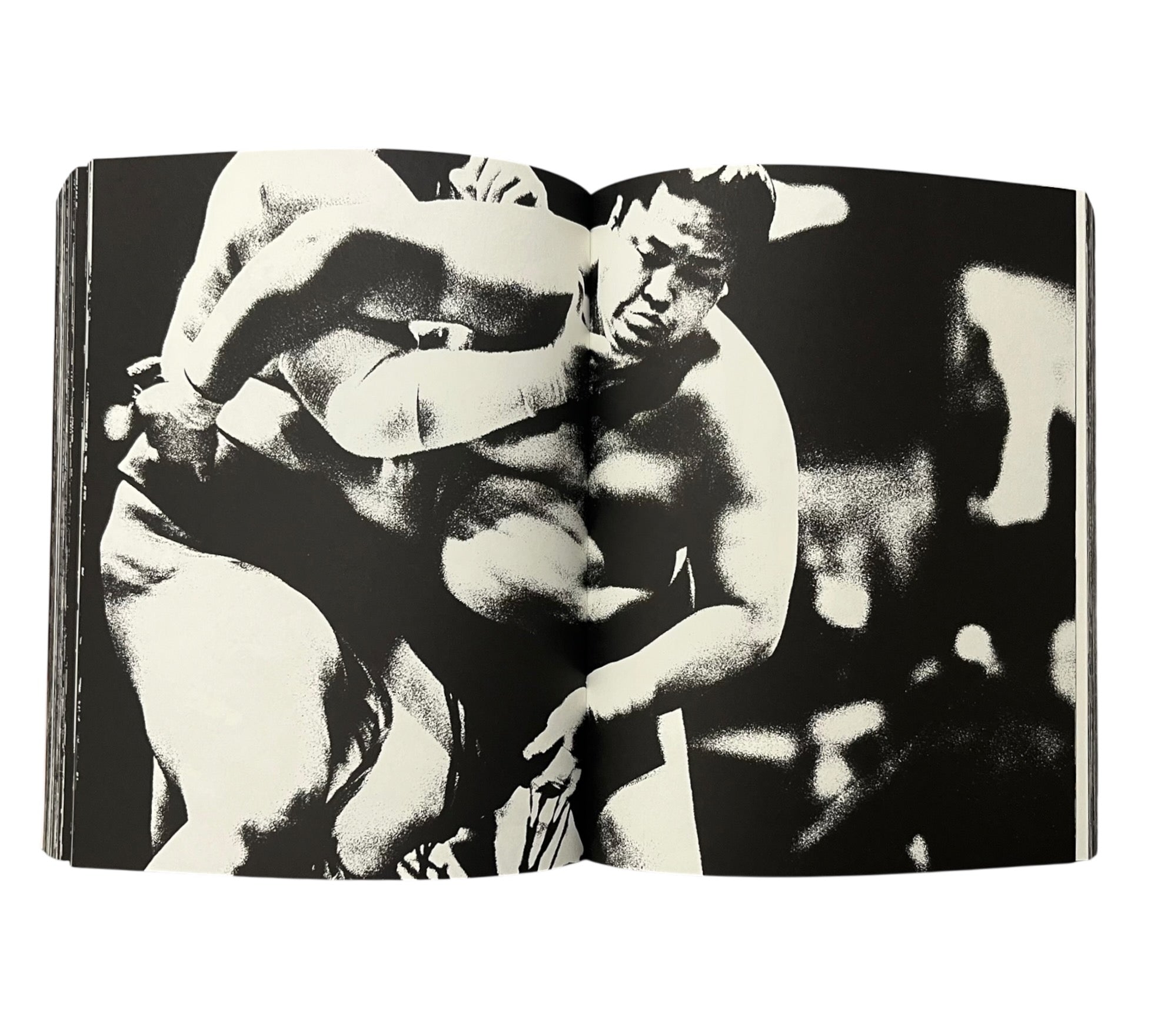 Tomasz Gudzowaty: SUMO