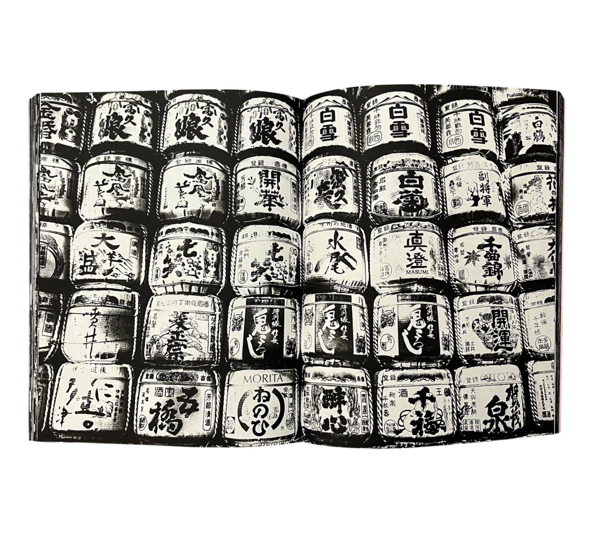 Tomasz Gudzowaty: SUMO