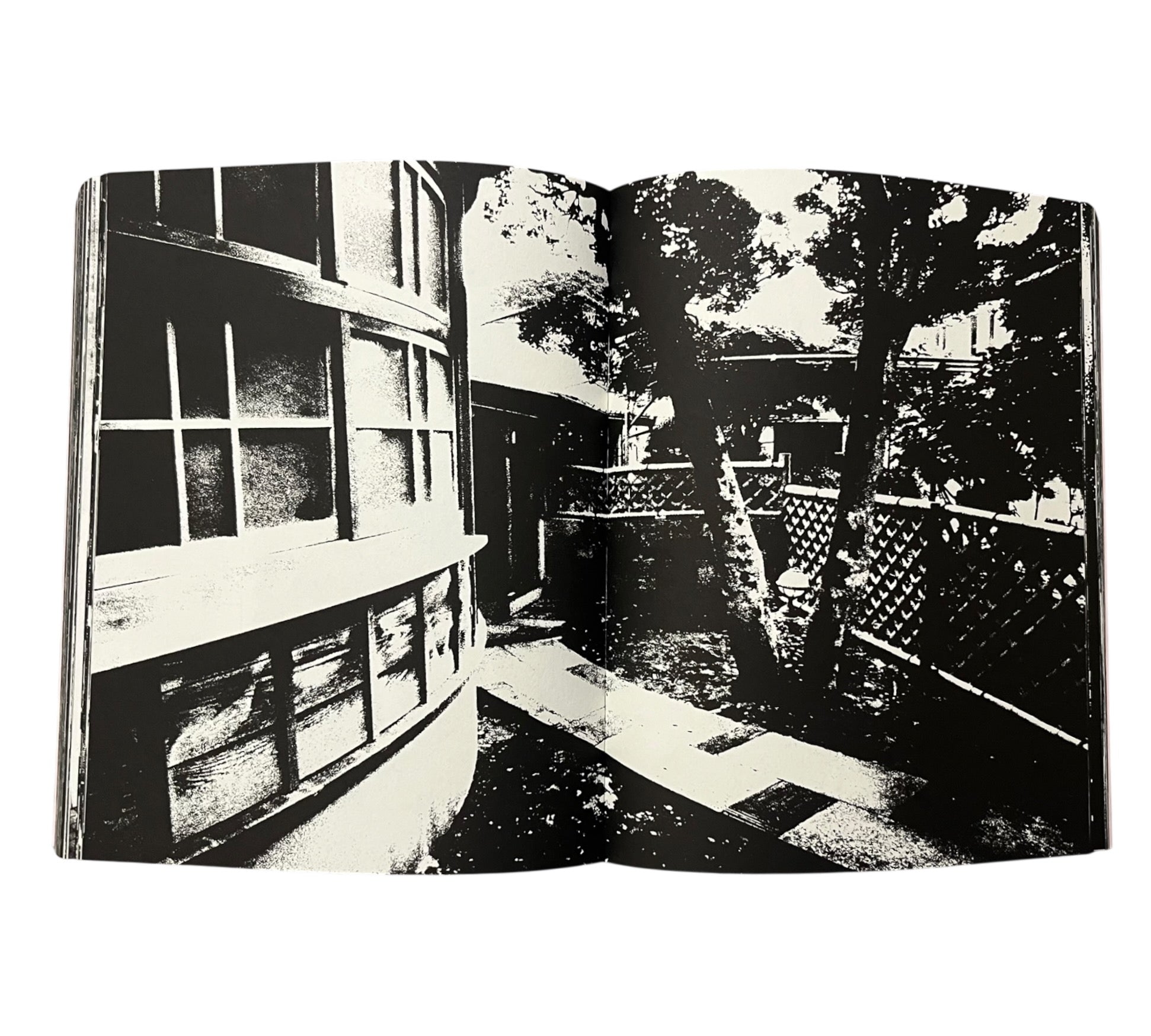 Tomasz Gudzowaty: SUMO