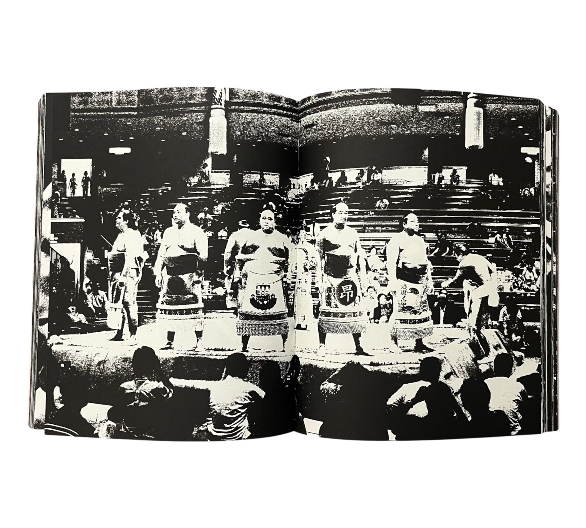 Tomasz Gudzowaty: SUMO