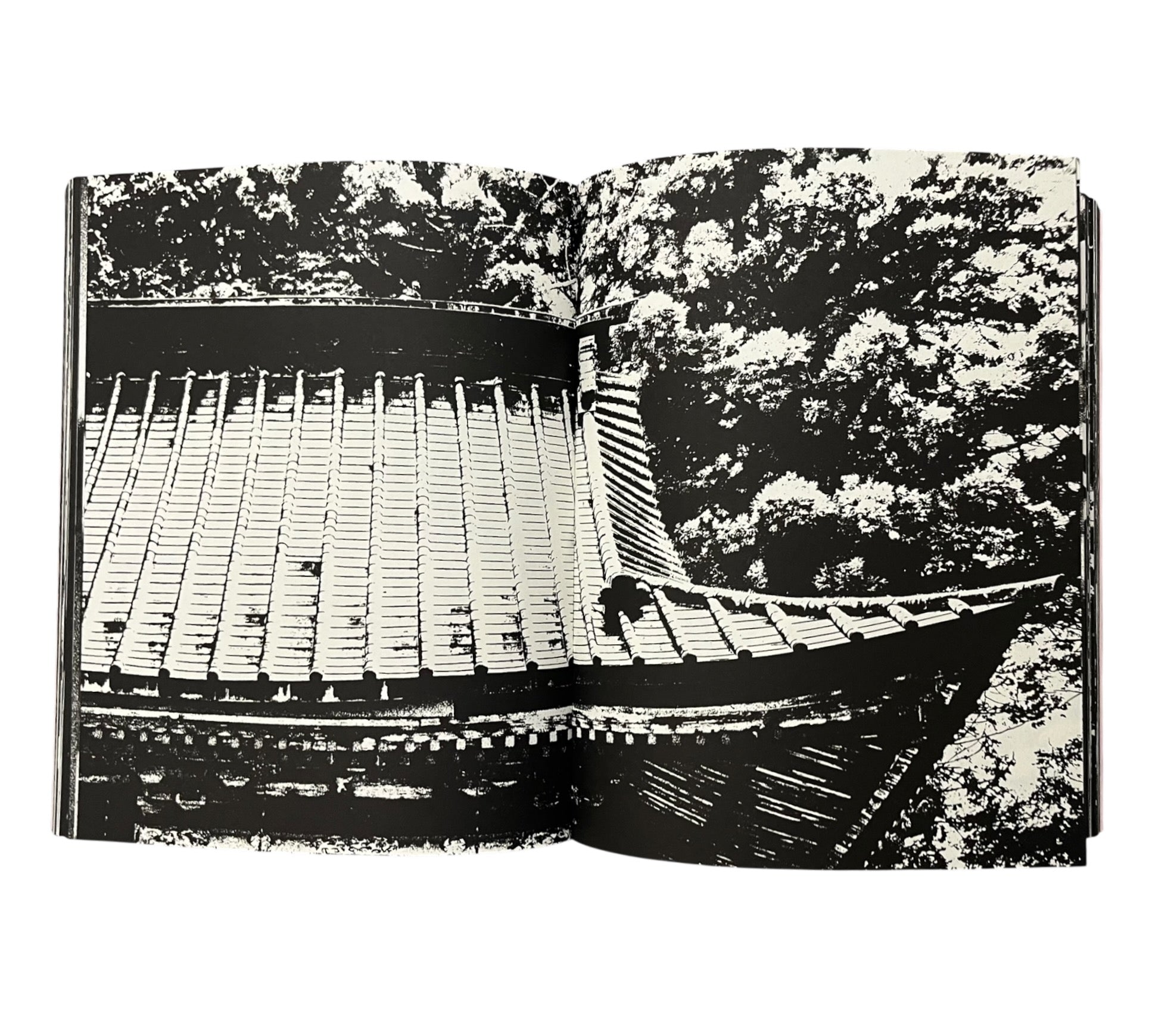 Tomasz Gudzowaty: SUMO