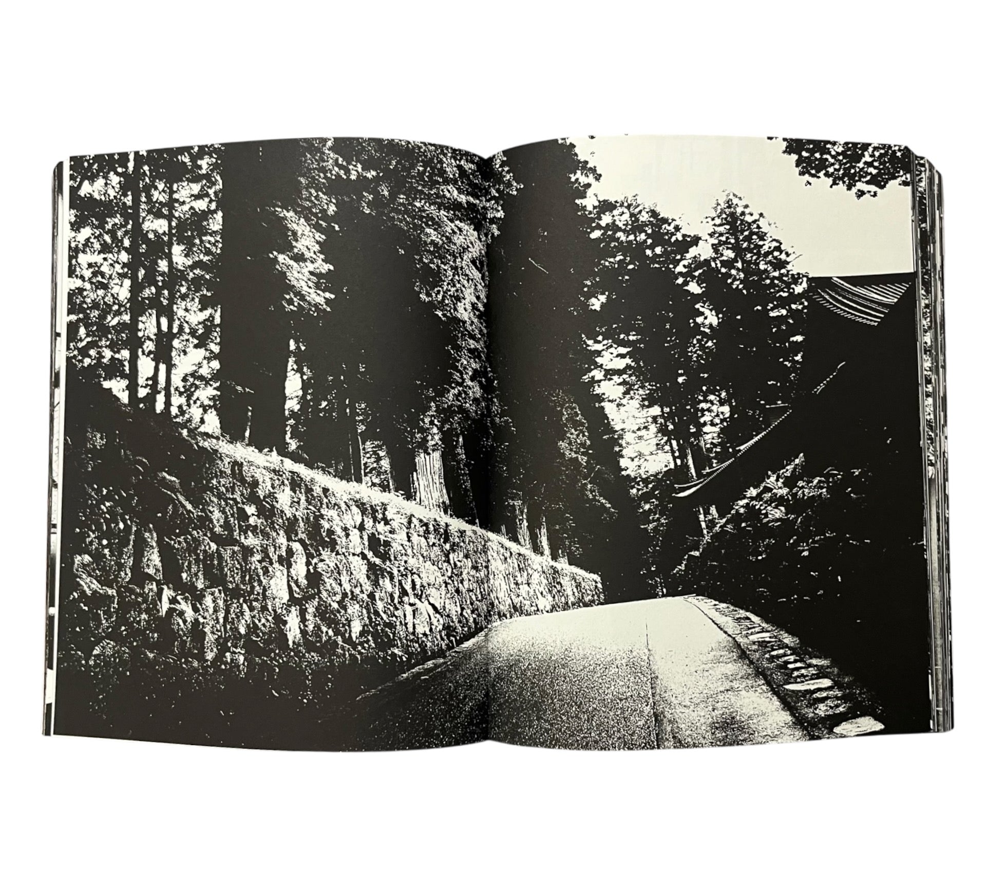 Tomasz Gudzowaty: SUMO