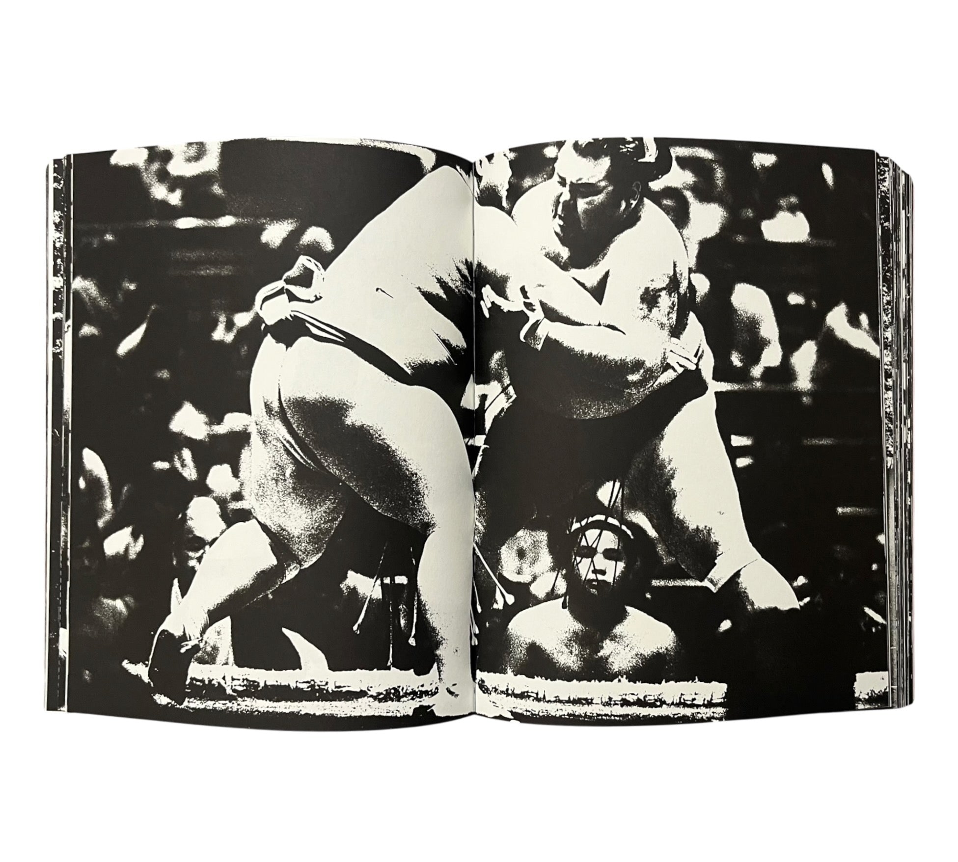 Tomasz Gudzowaty: SUMO