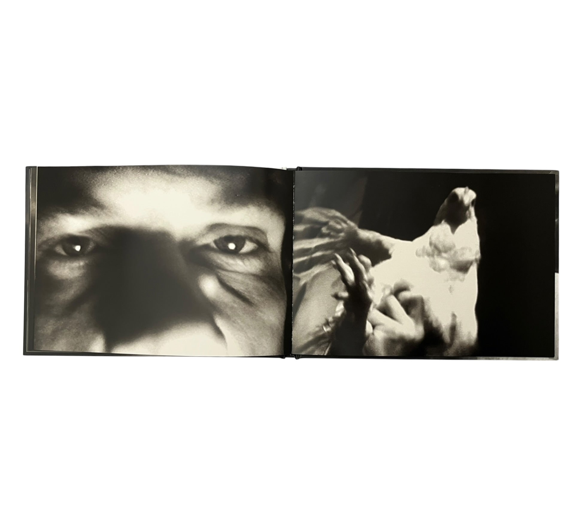 William Eggleston: Stranded in Canton