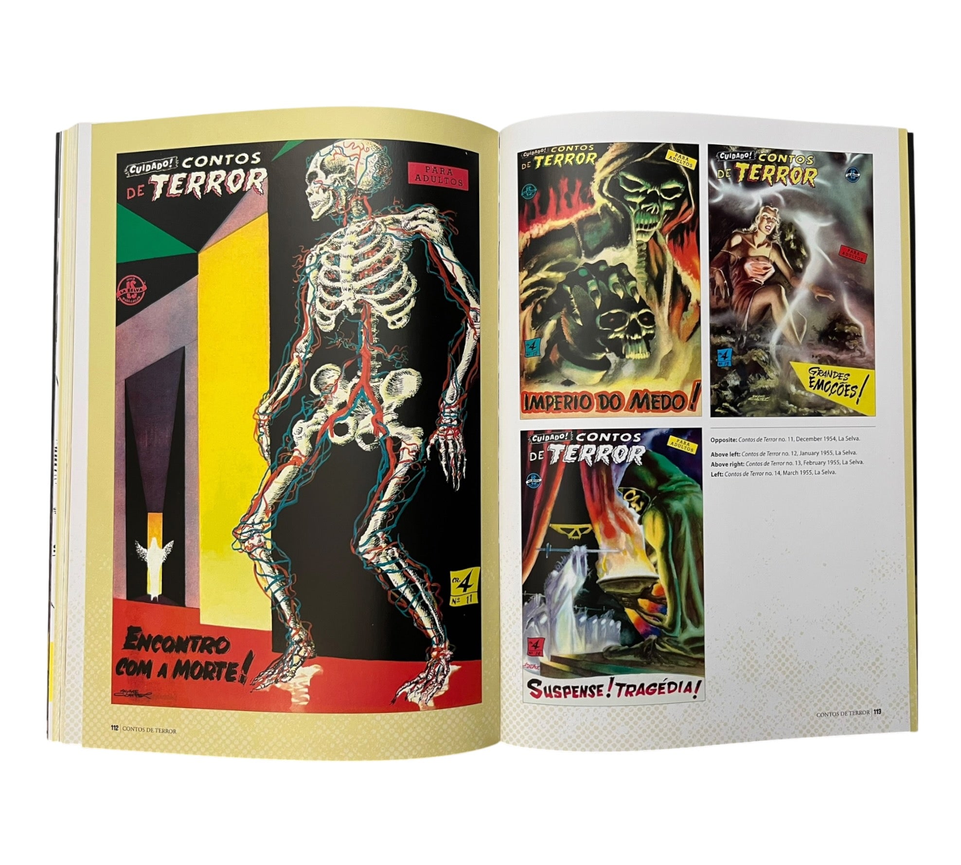 Terror: The Horror Comic Art of Jayme Cortez (Volume 1)