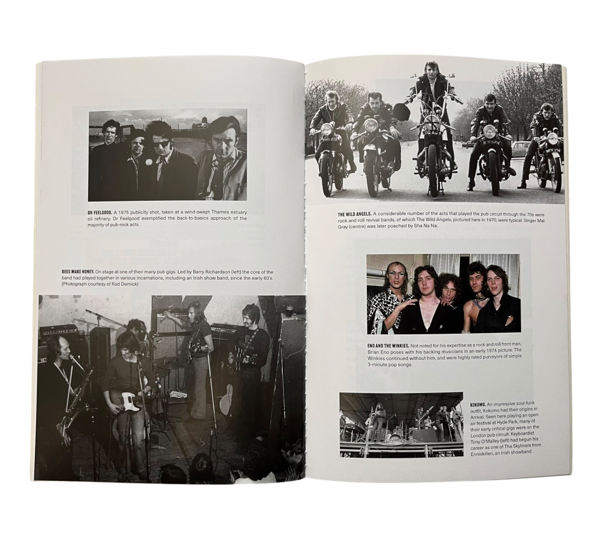 Before It Went Rotten: The Music That Rocked London's Pubs 1972-1976