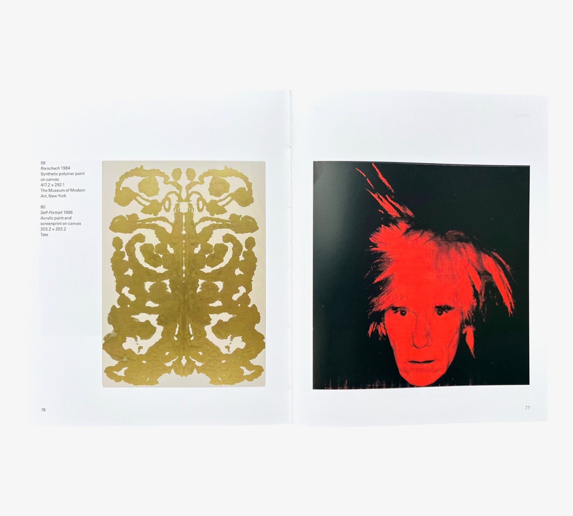 Andy Warhol (Tate Introductions)