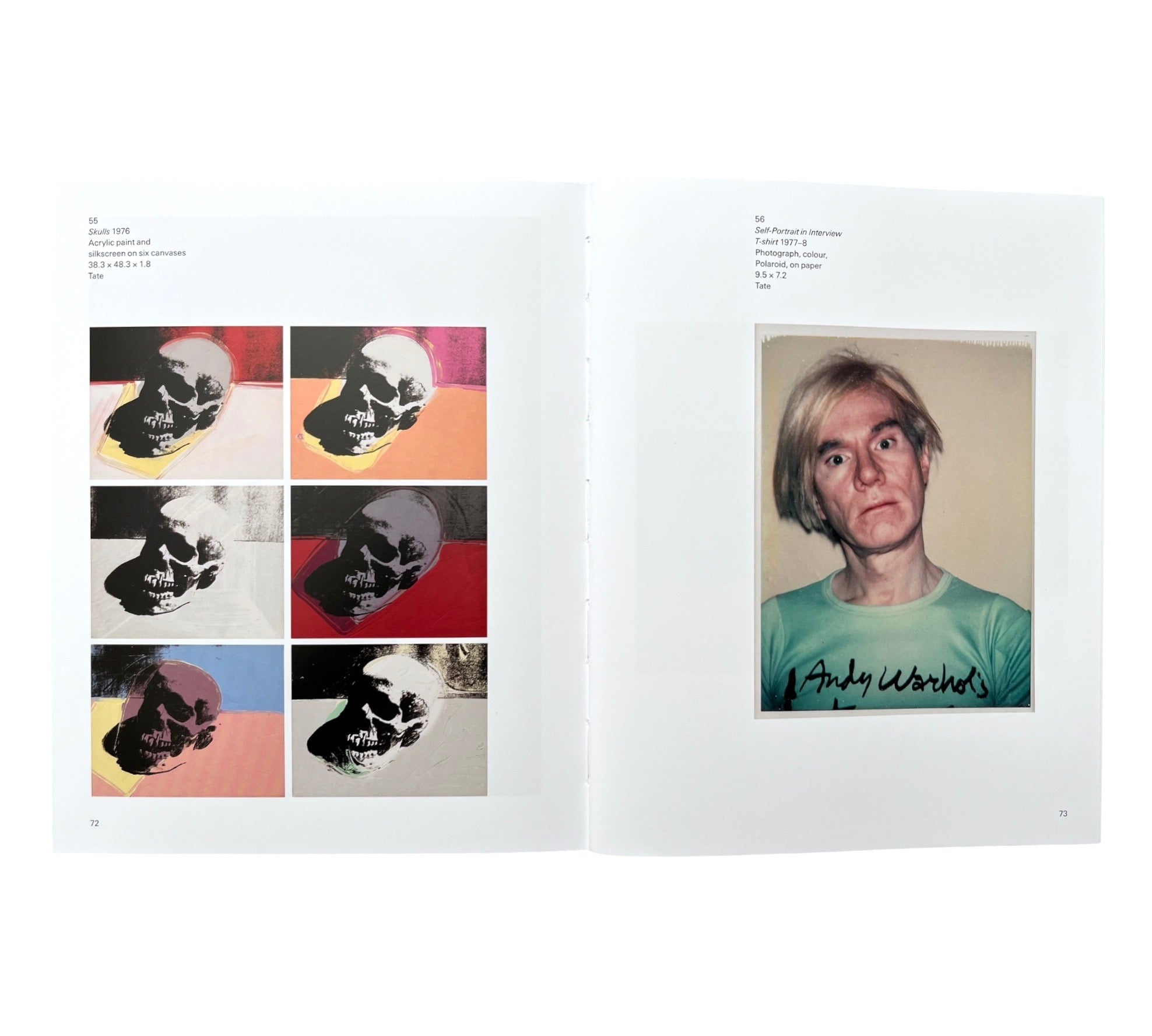 Andy Warhol (Tate Introductions)