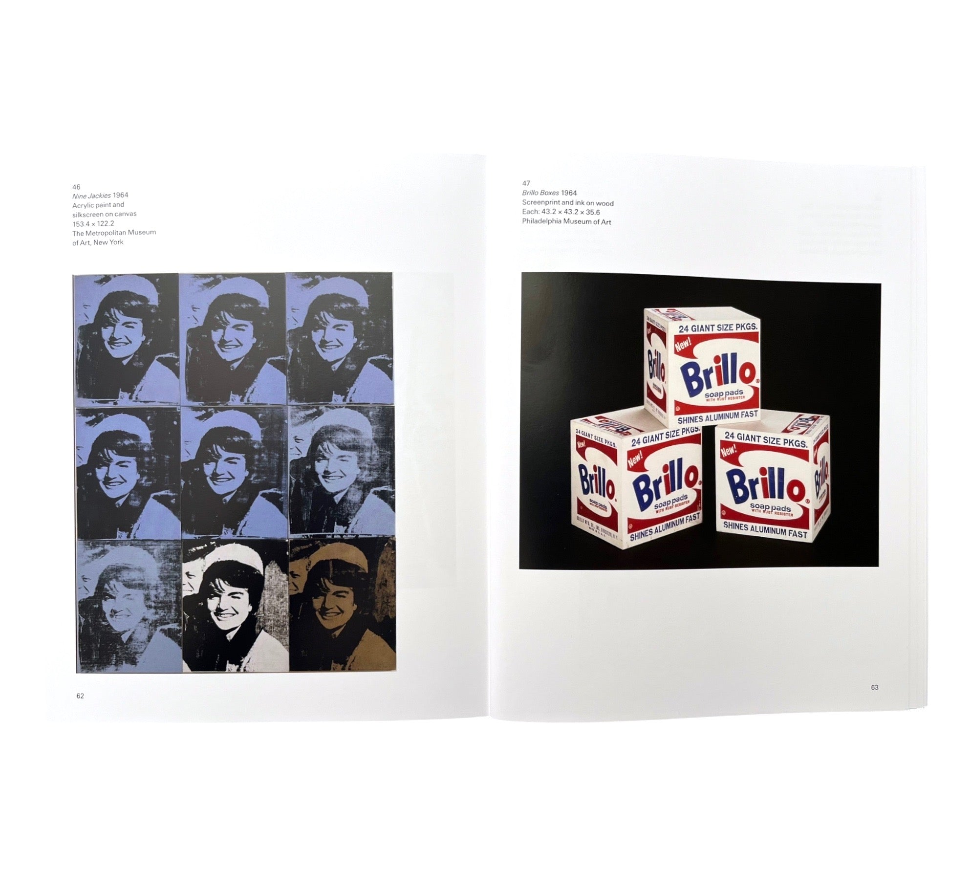 Andy Warhol (Tate Introductions)